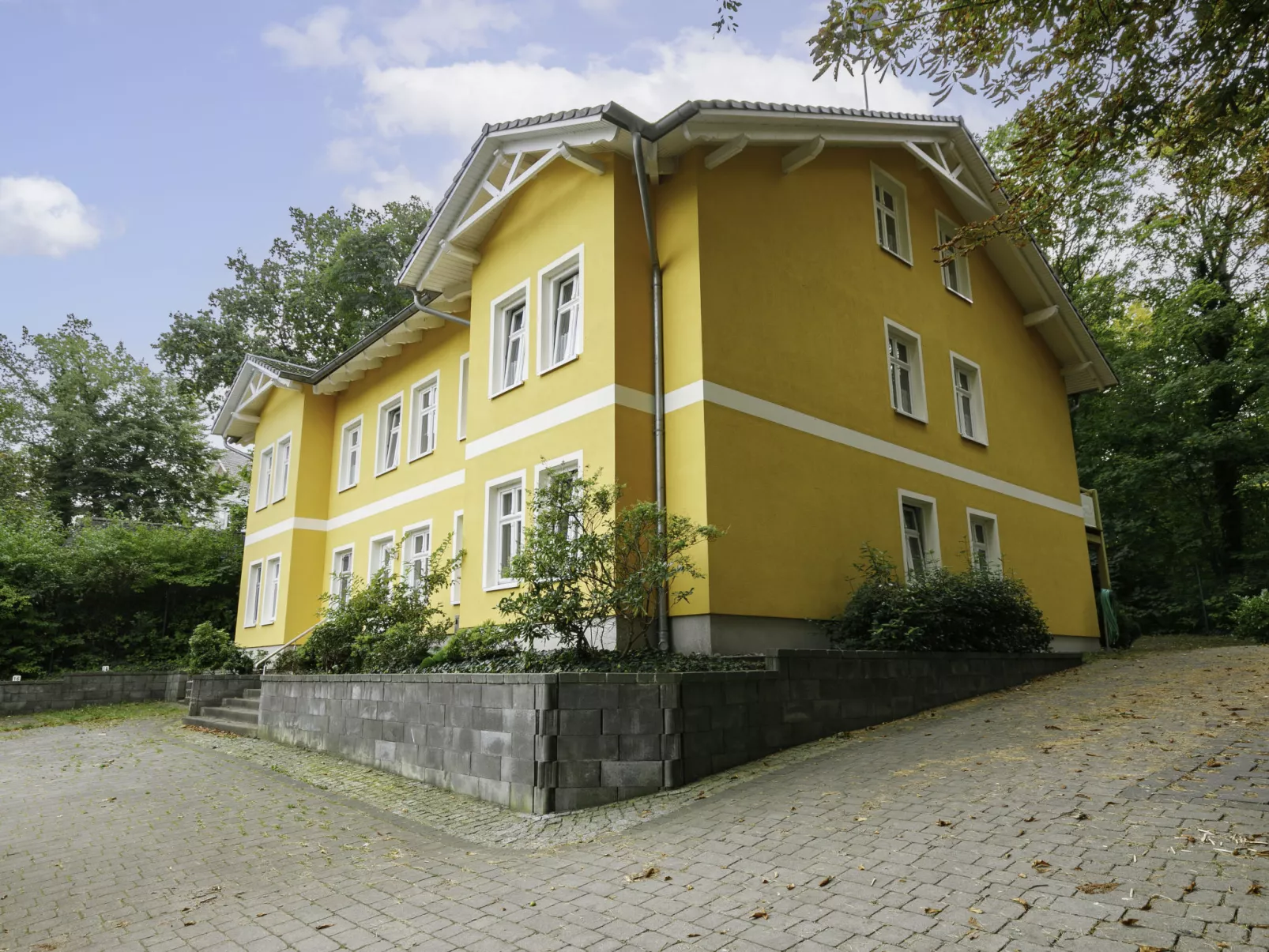 Zaunkönig-Buiten
