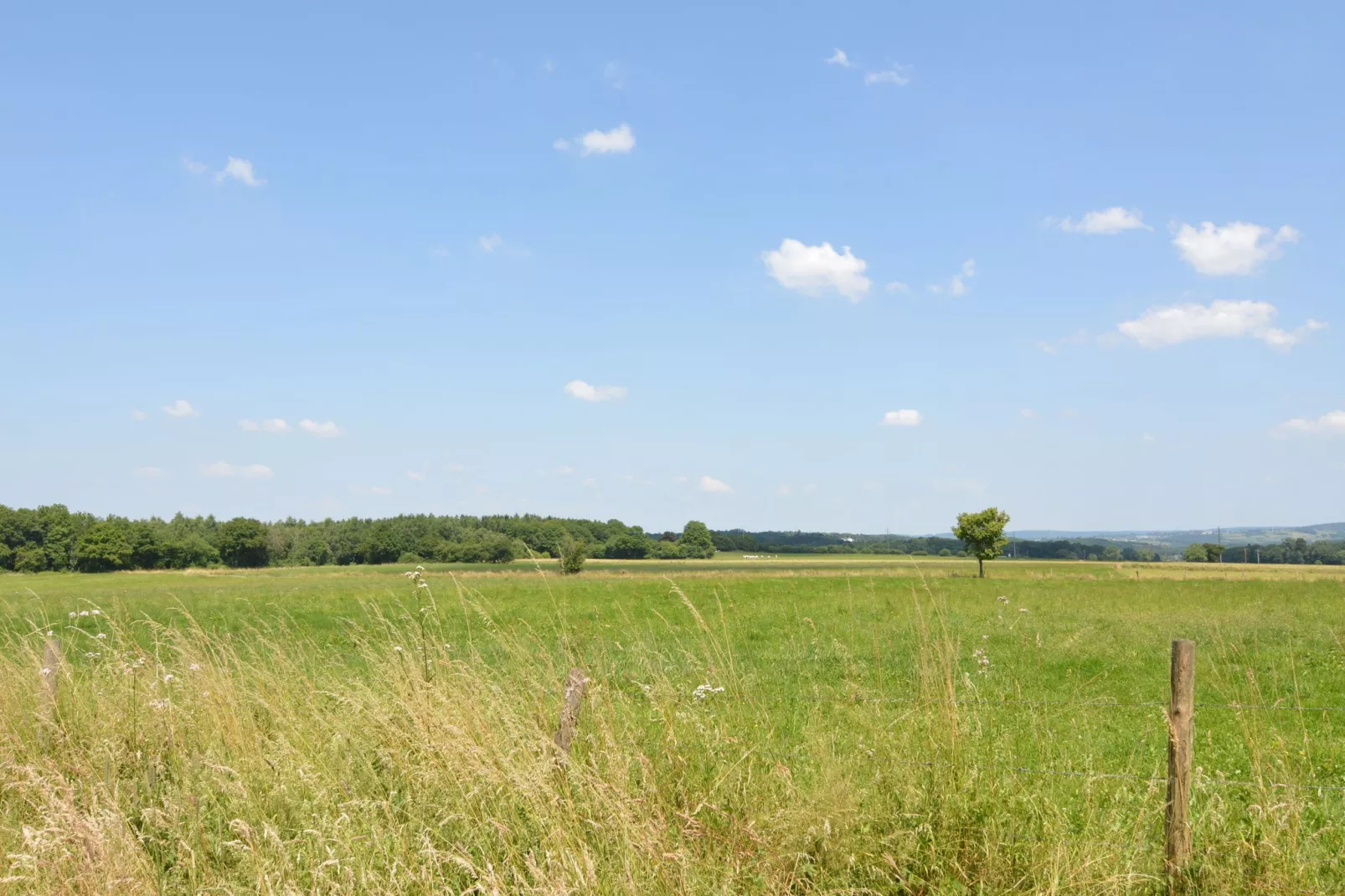 Manoir Cardon-Gebieden zomer 20km