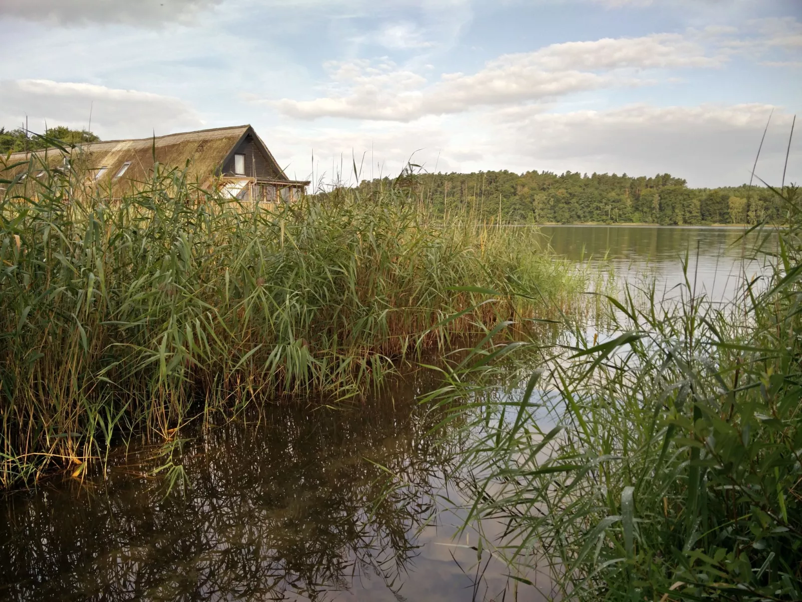 Kranich-Buiten