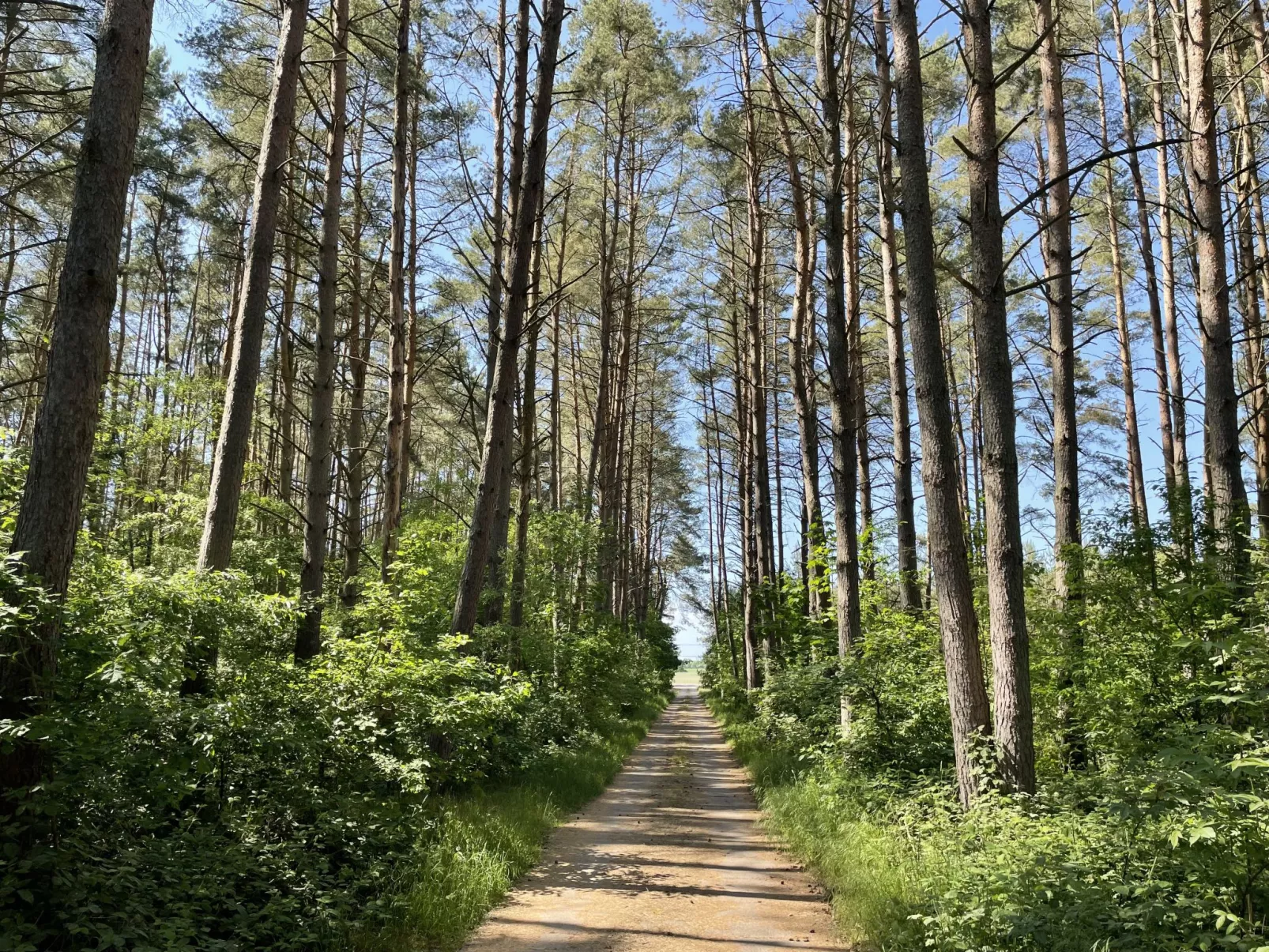 Silz am Fleesensee-Buiten