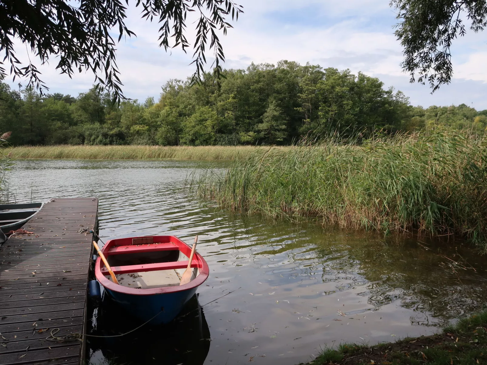 Am Pälitzsee-Buiten