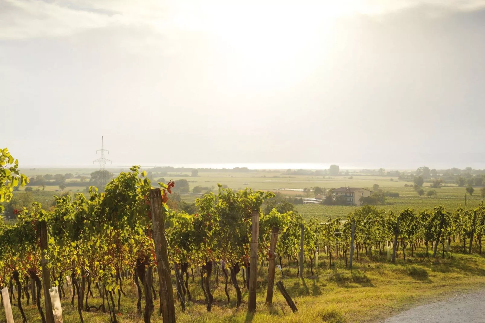 Pannonia Q03-Gebieden zomer 20km