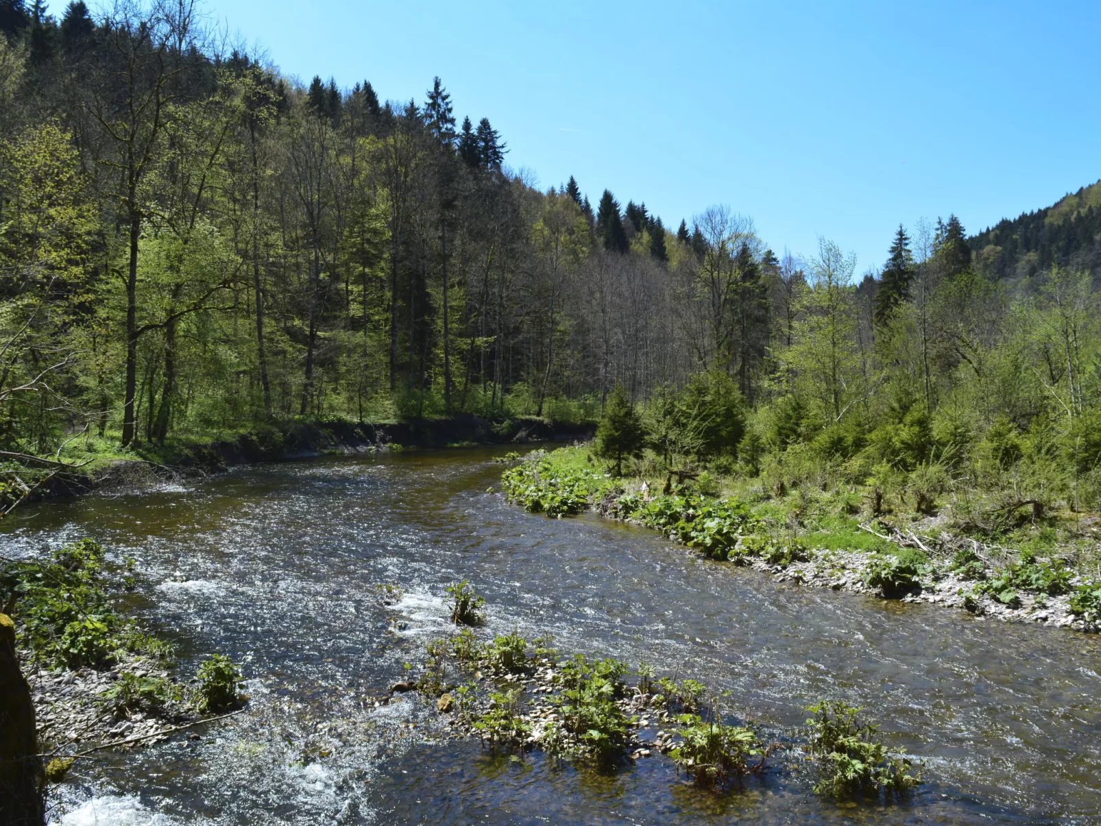 Spatzenparadies-Omgeving