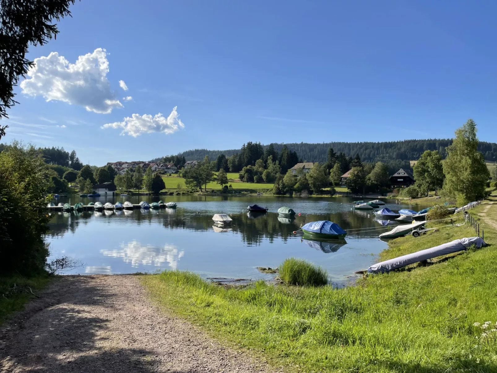 App. 1406 / EX-Kurhotel Schluchsee-Omgeving