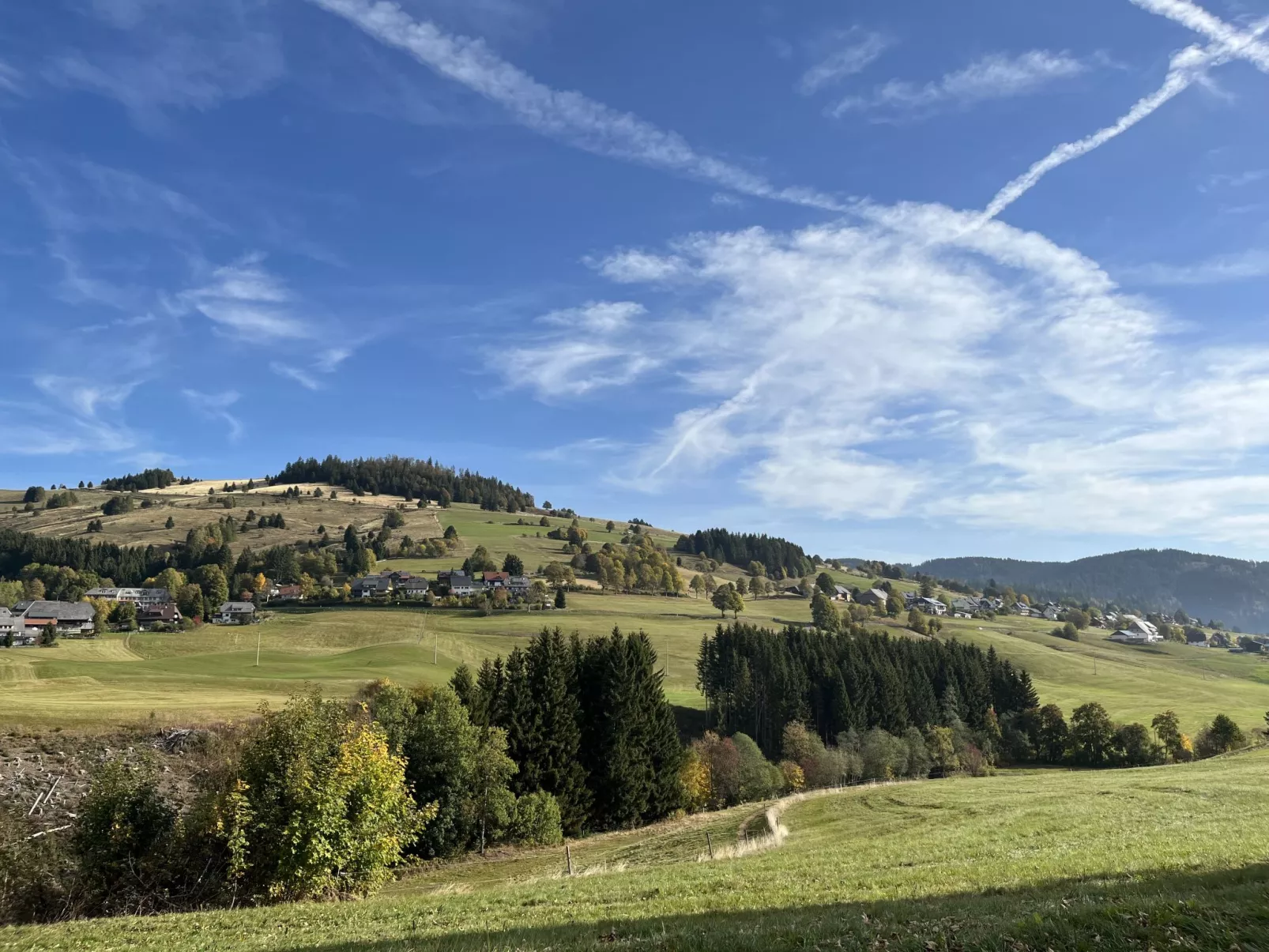 Schwarzwaldblick IV-Omgeving