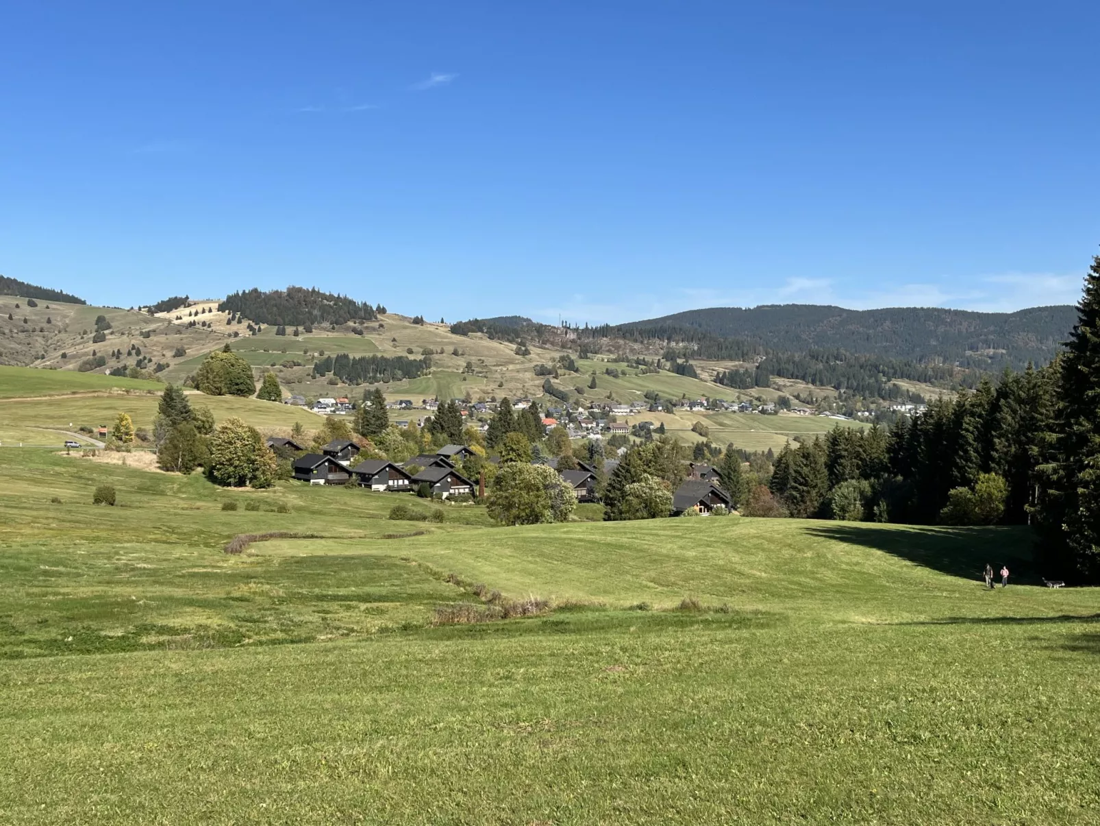 Schwarzwaldblick I-Omgeving