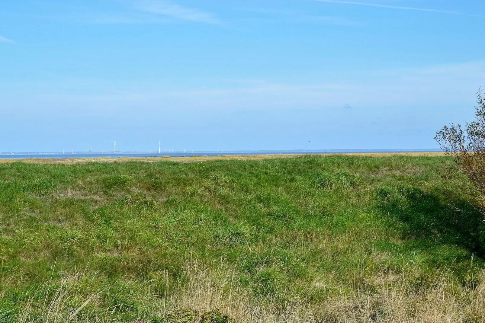 6 persoons vakantie huis in Fanø