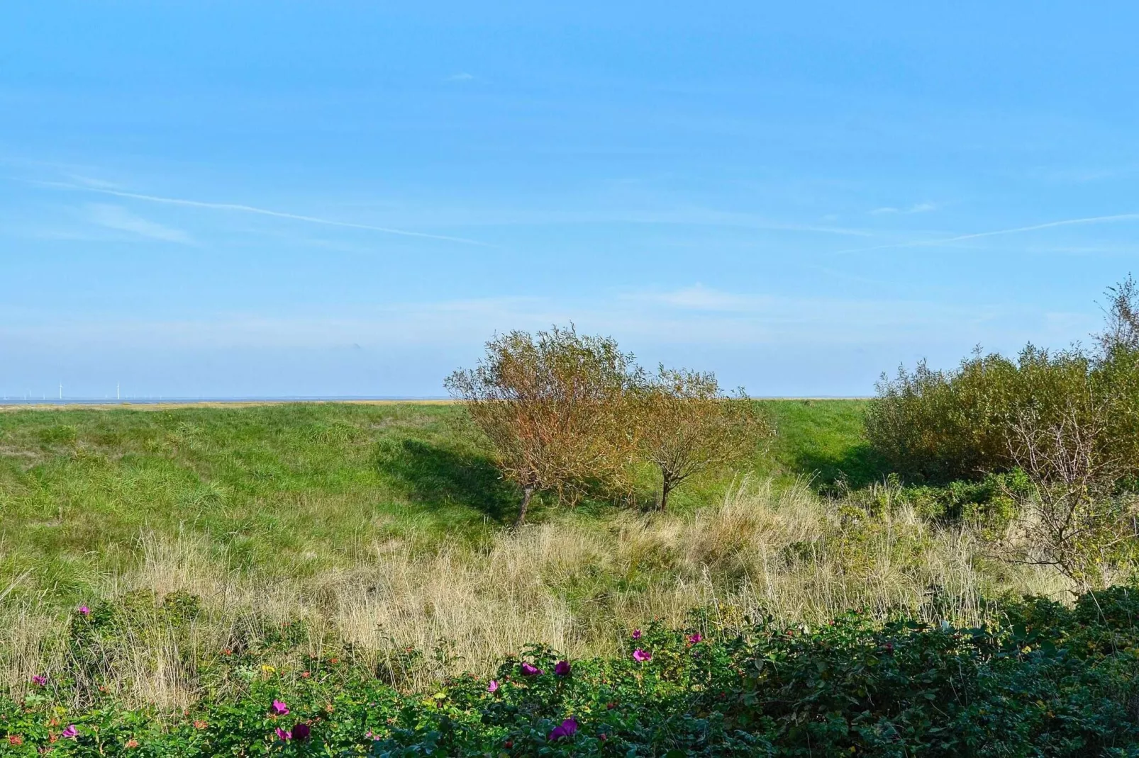 6 persoons vakantie huis in Fanø-Buitenlucht