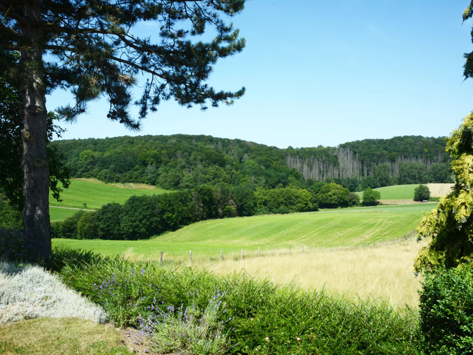 Wiesenhütte-Buiten