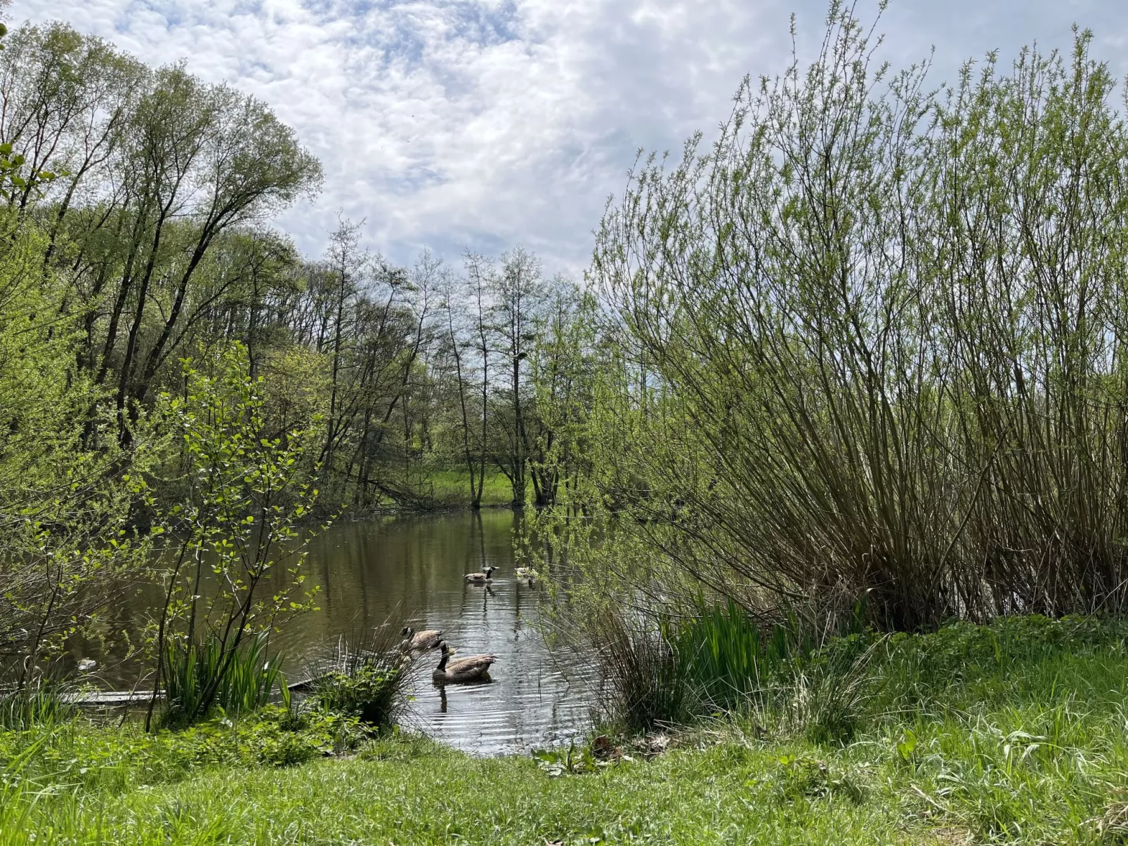 Hans im Glück-Buiten