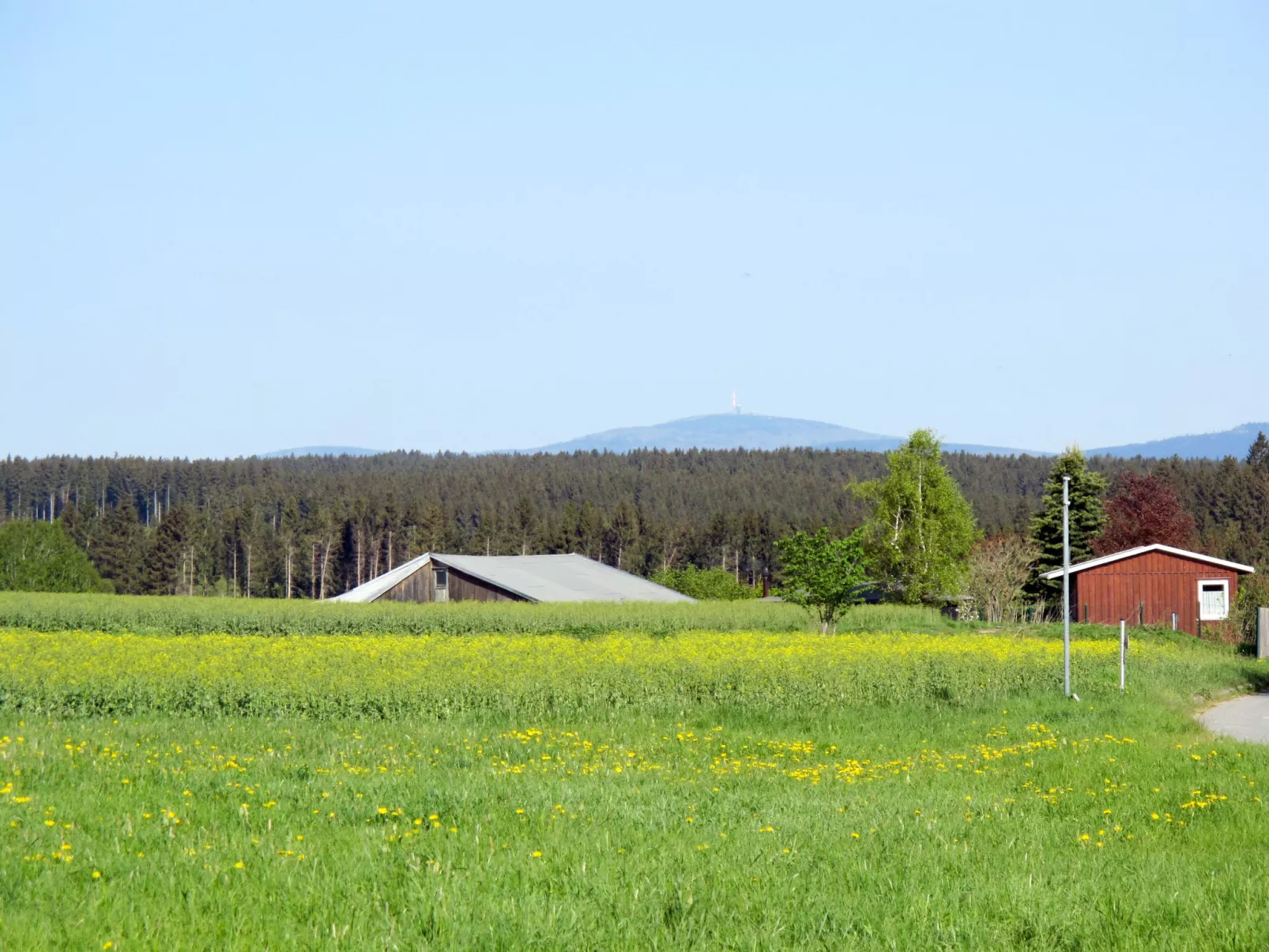 Auerhahn-Buiten