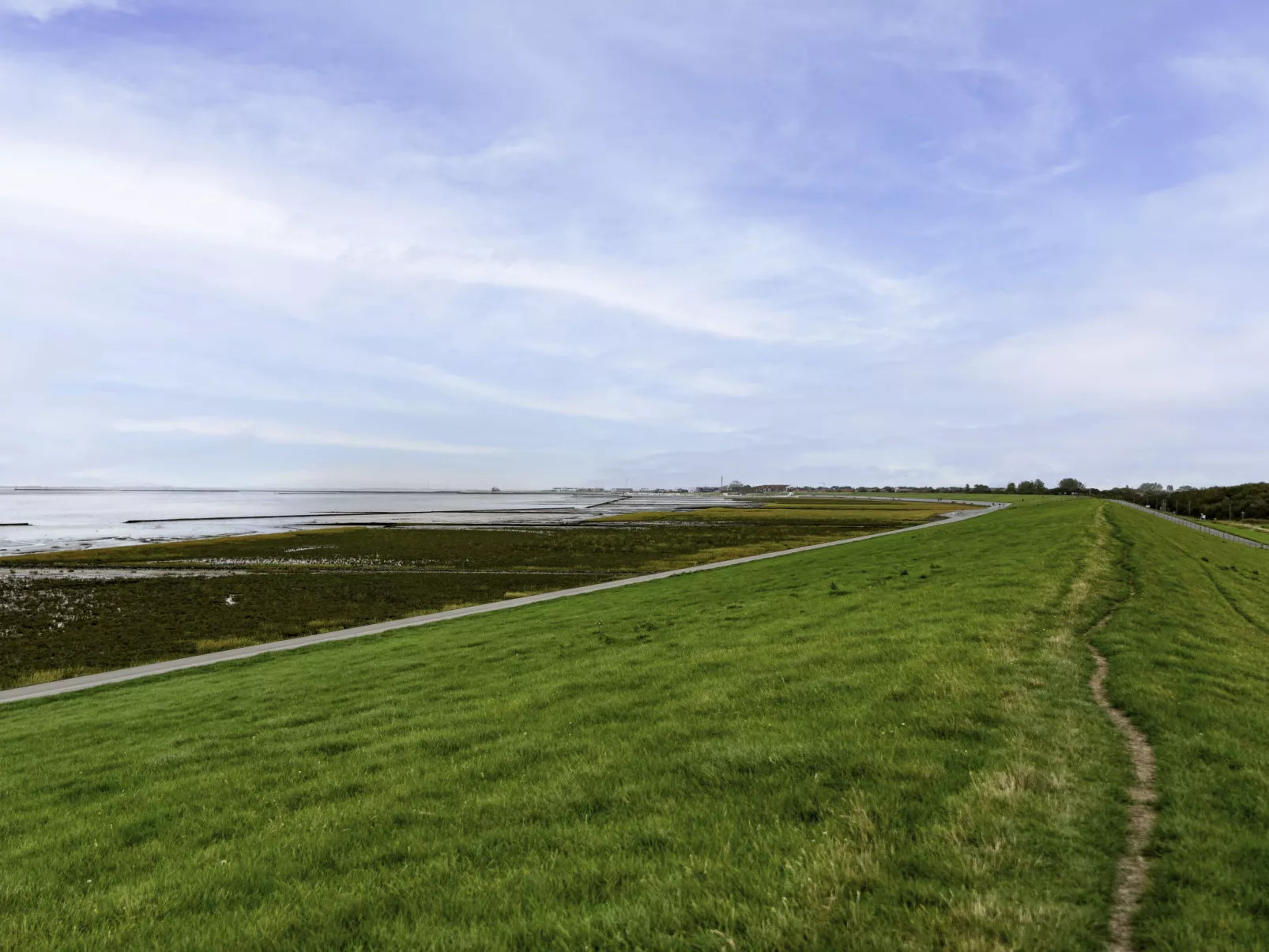 Strandläufer-Omgeving