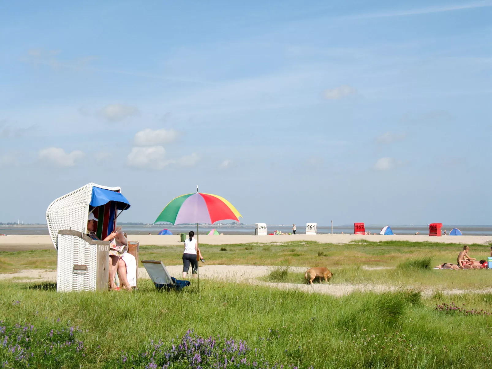 Strandkorb-Omgeving