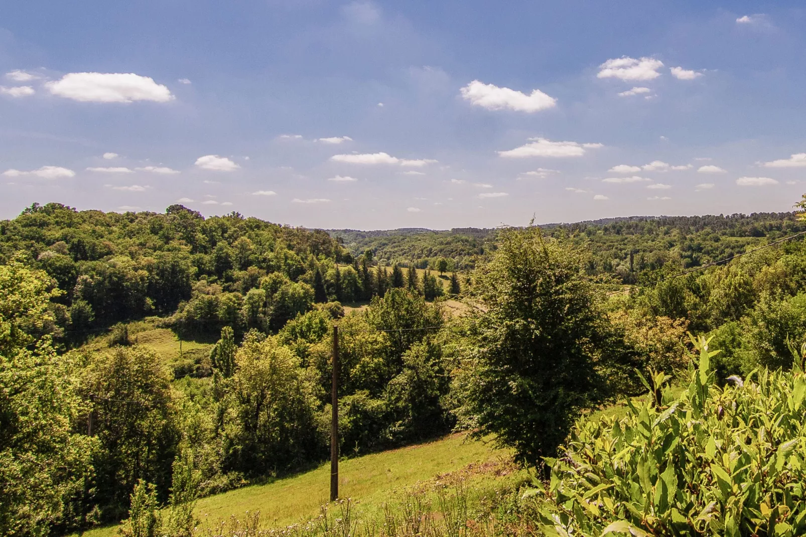 Métairie du Vignaud 16P-Uitzicht zomer