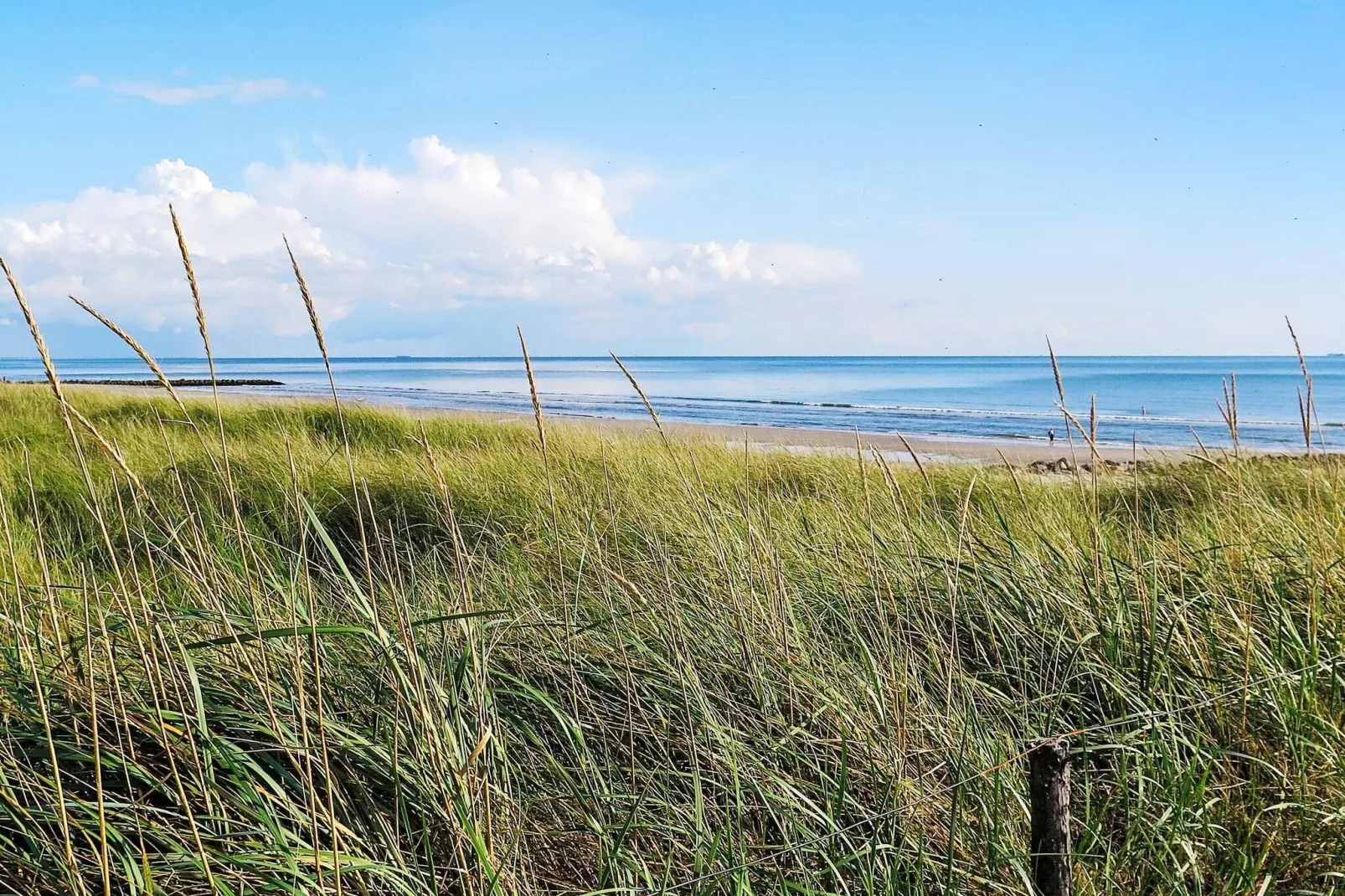 4 sterren vakantie huis in Blåvand-Niet-getagd