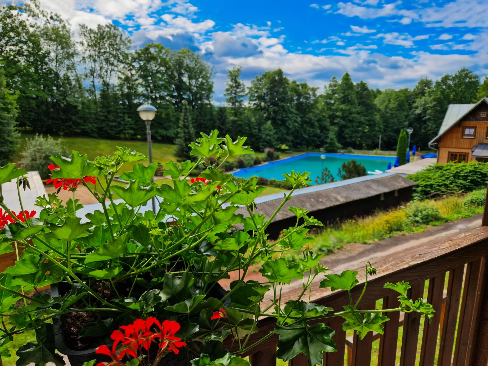 Luxe Timber Lodge & Pet Retreat-Buiten