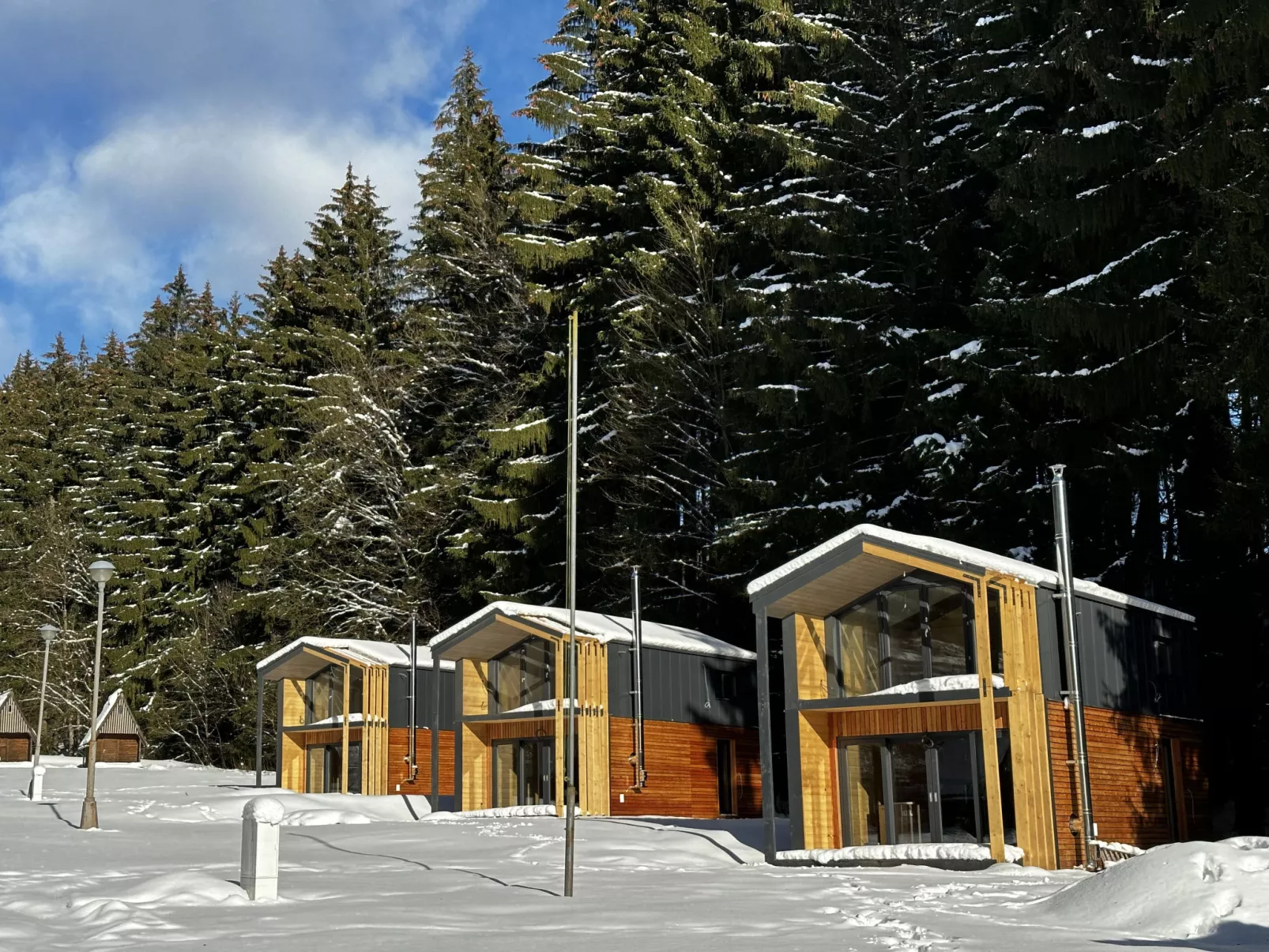 Luxe Timber Lodge & Pet Retreat-Buiten