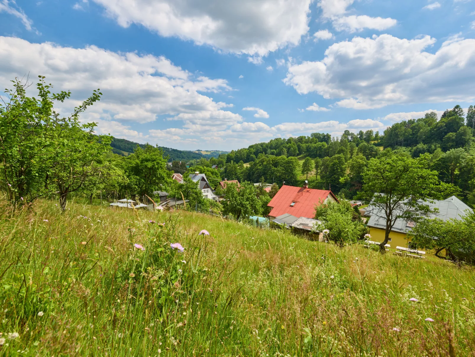 Hillside Lodge & Garden-Buiten
