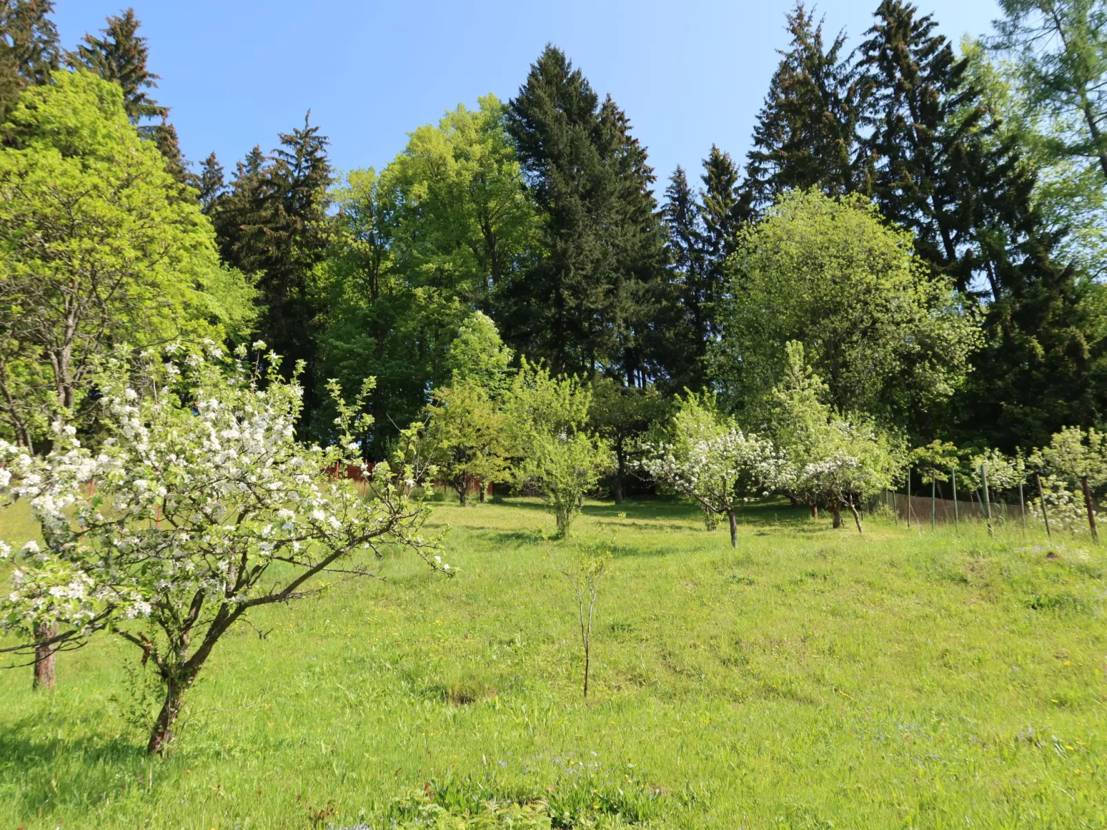 Hillside Lodge & Garden-Buiten