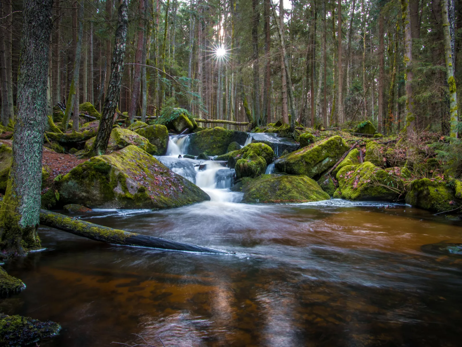 Dolní Jílovice-Buiten