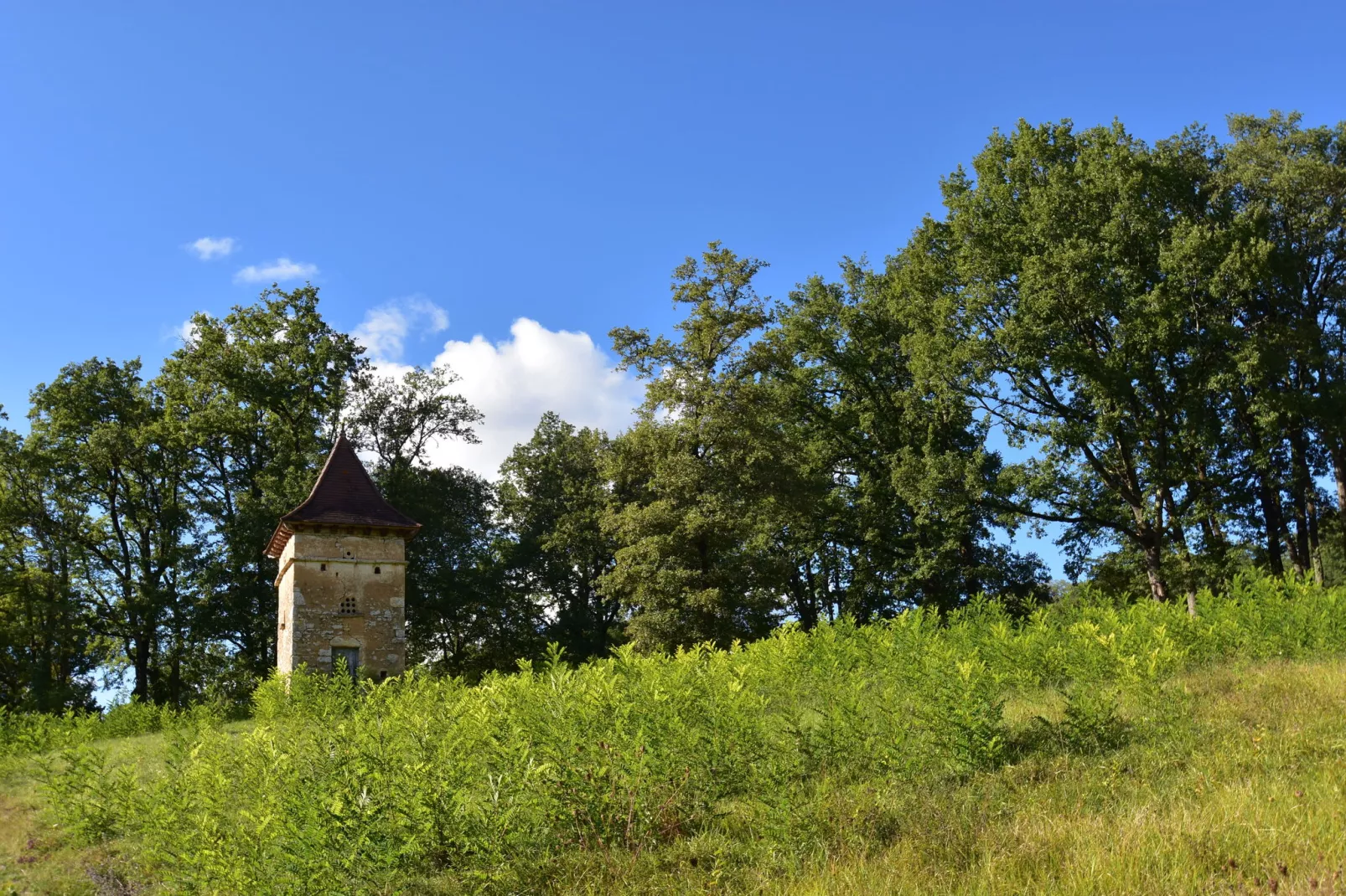 Maison de vacances Montferrand du Périgord-Gebieden zomer 5km