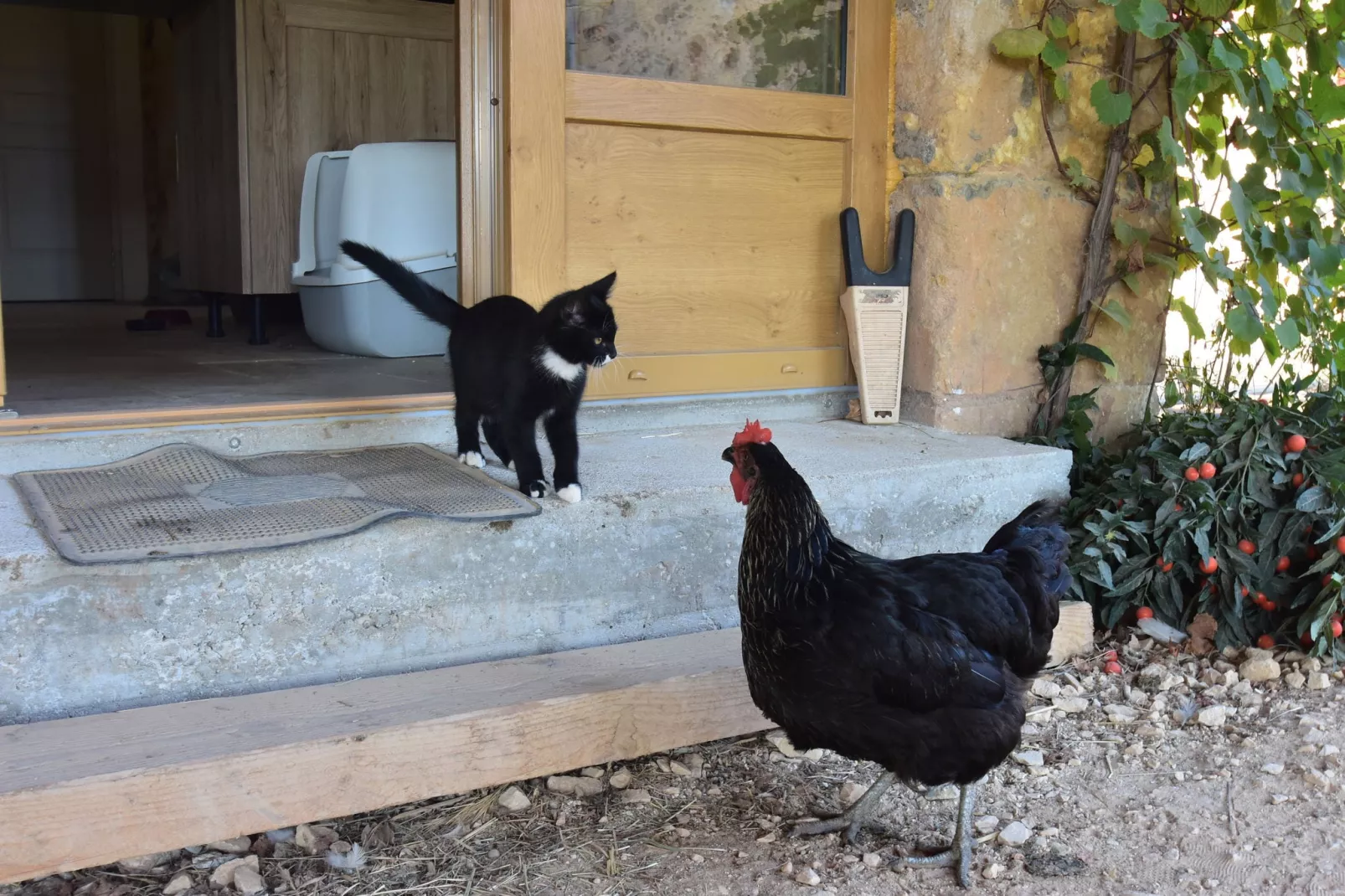 Maison de vacances Montferrand du Périgord-Sfeer