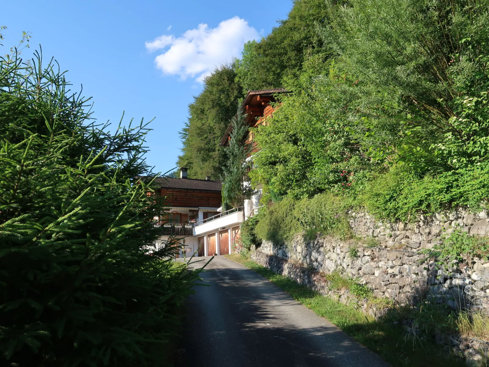 Chalet Bergnest-Buiten