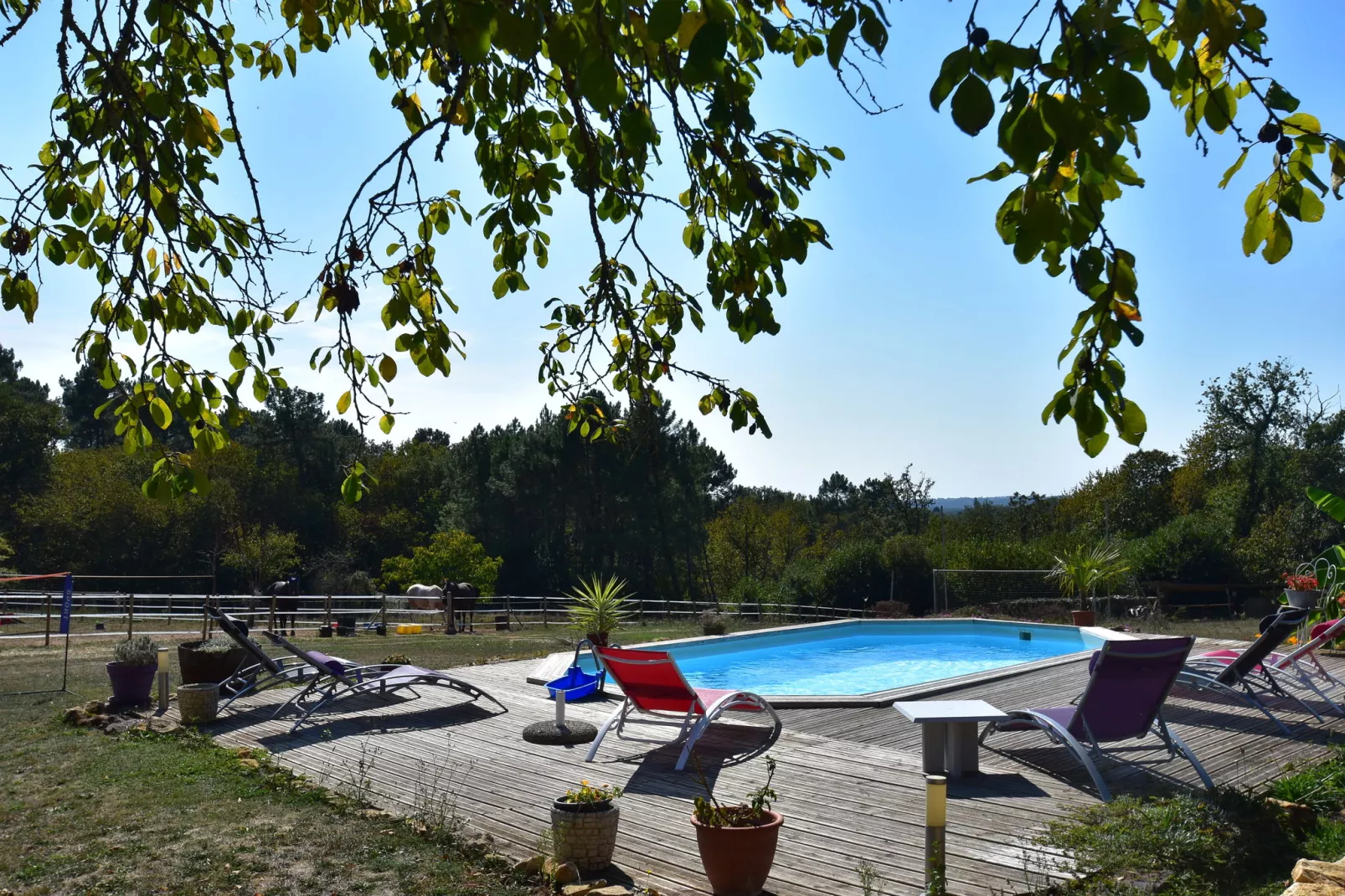 Maison de vacances Montferrand du Périgord-Zwembad