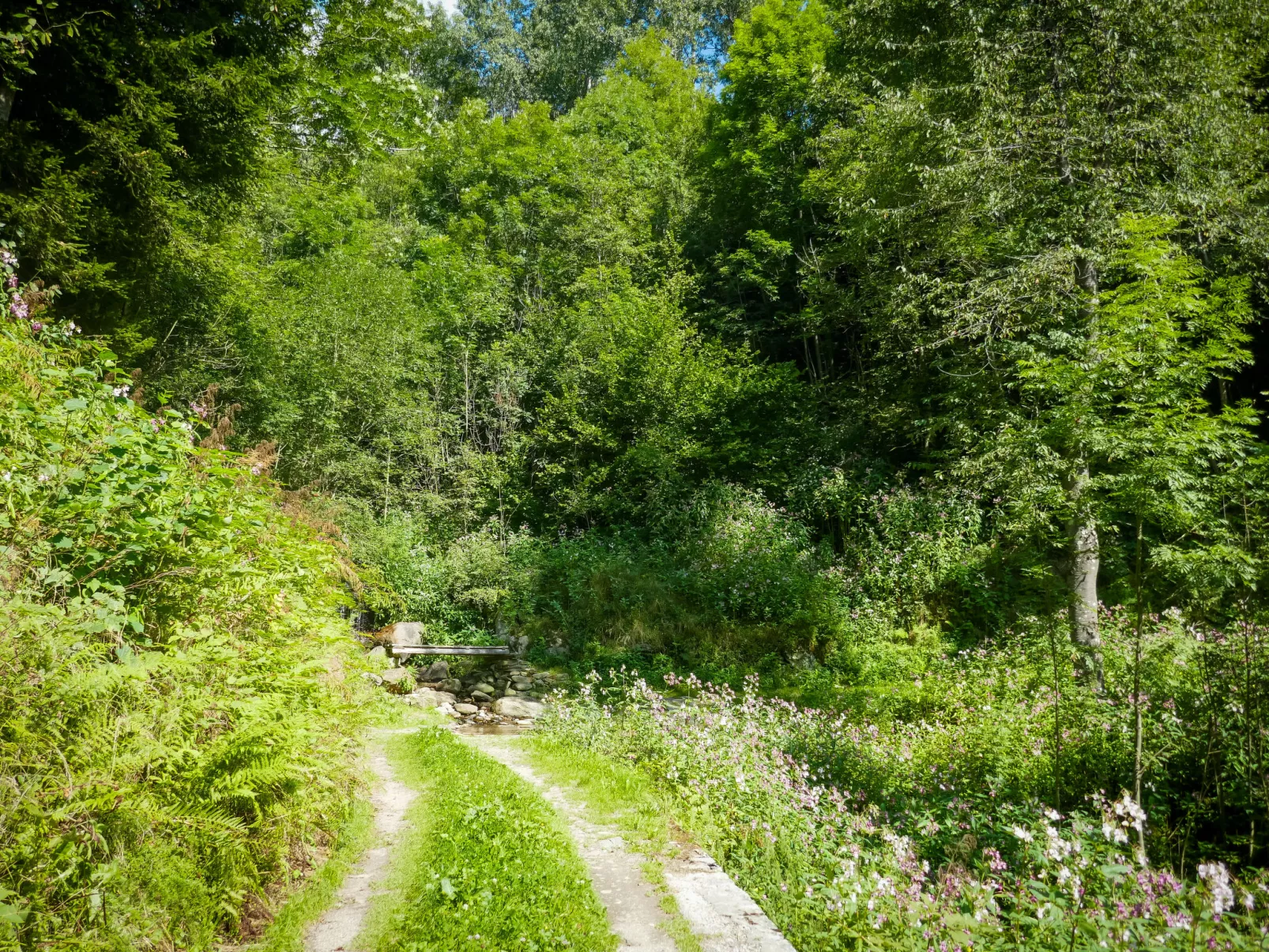 Rustico Girasole-Buiten