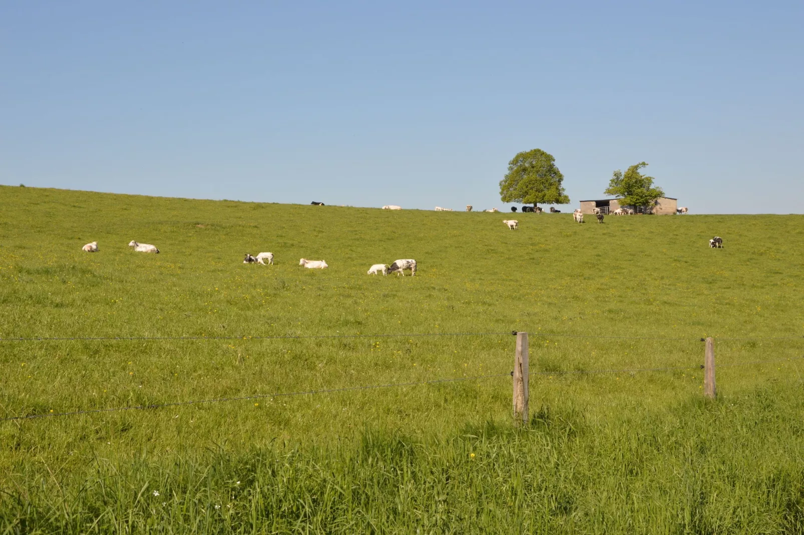 Gentilhommière du Broux-Gebieden zomer 5km