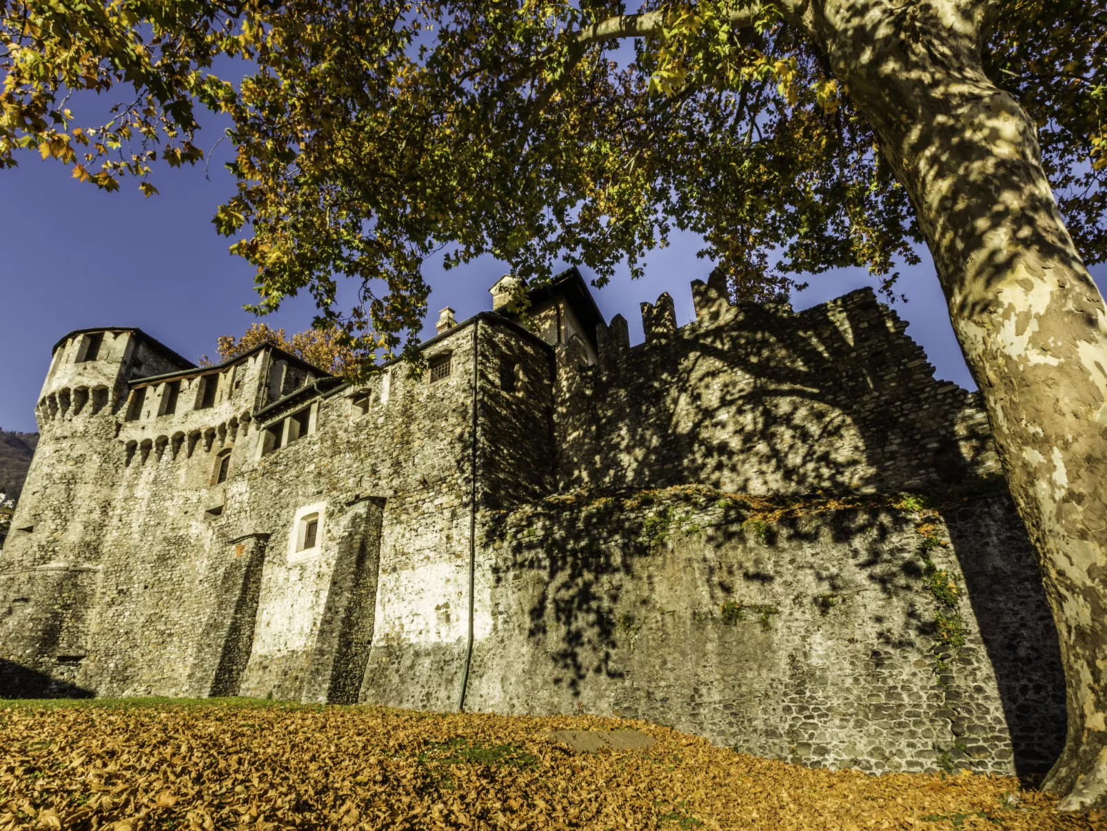 Torre Tessuti Apt.Leonardo-Omgeving
