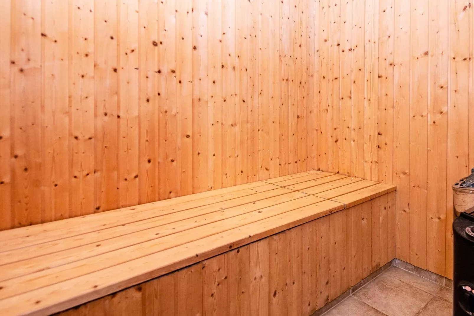 4 sterren vakantie huis in Hemmet-Sauna