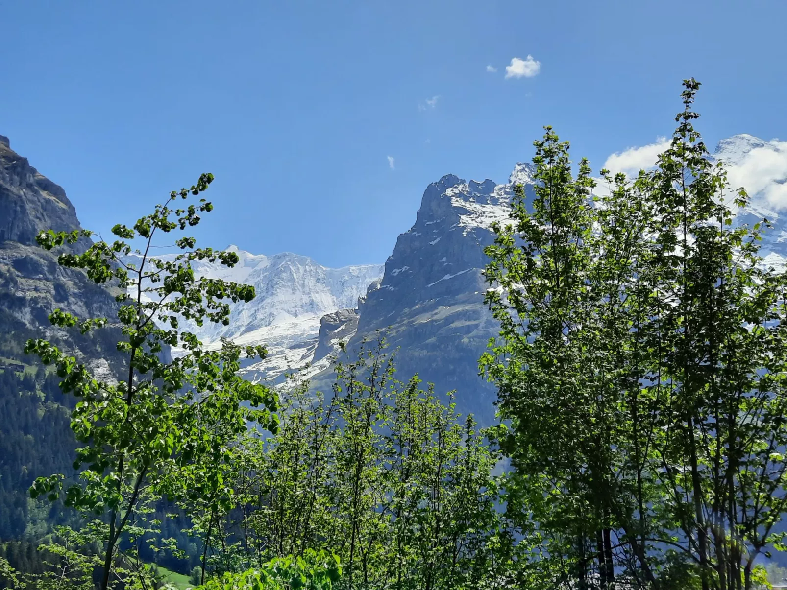 Chalet zur Höhe