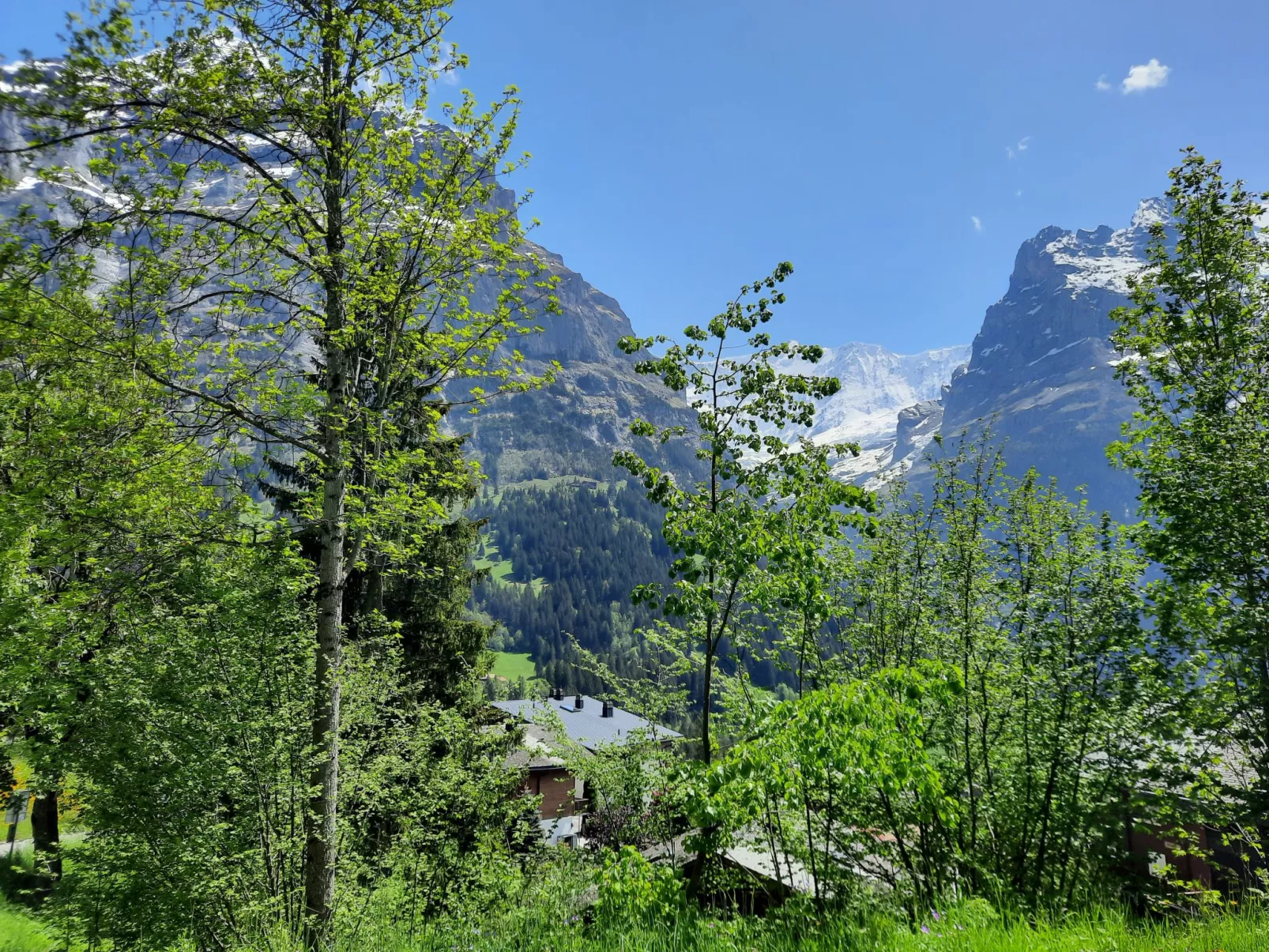 Chalet zur Höhe-Buiten