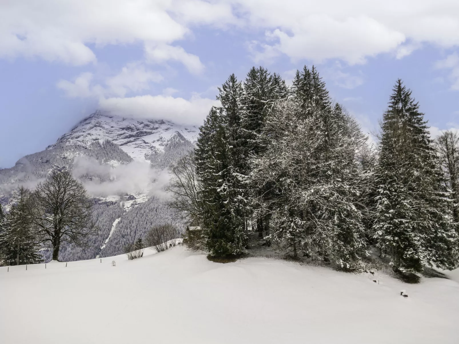 Chalet Grindelwaldgletscher-Buiten