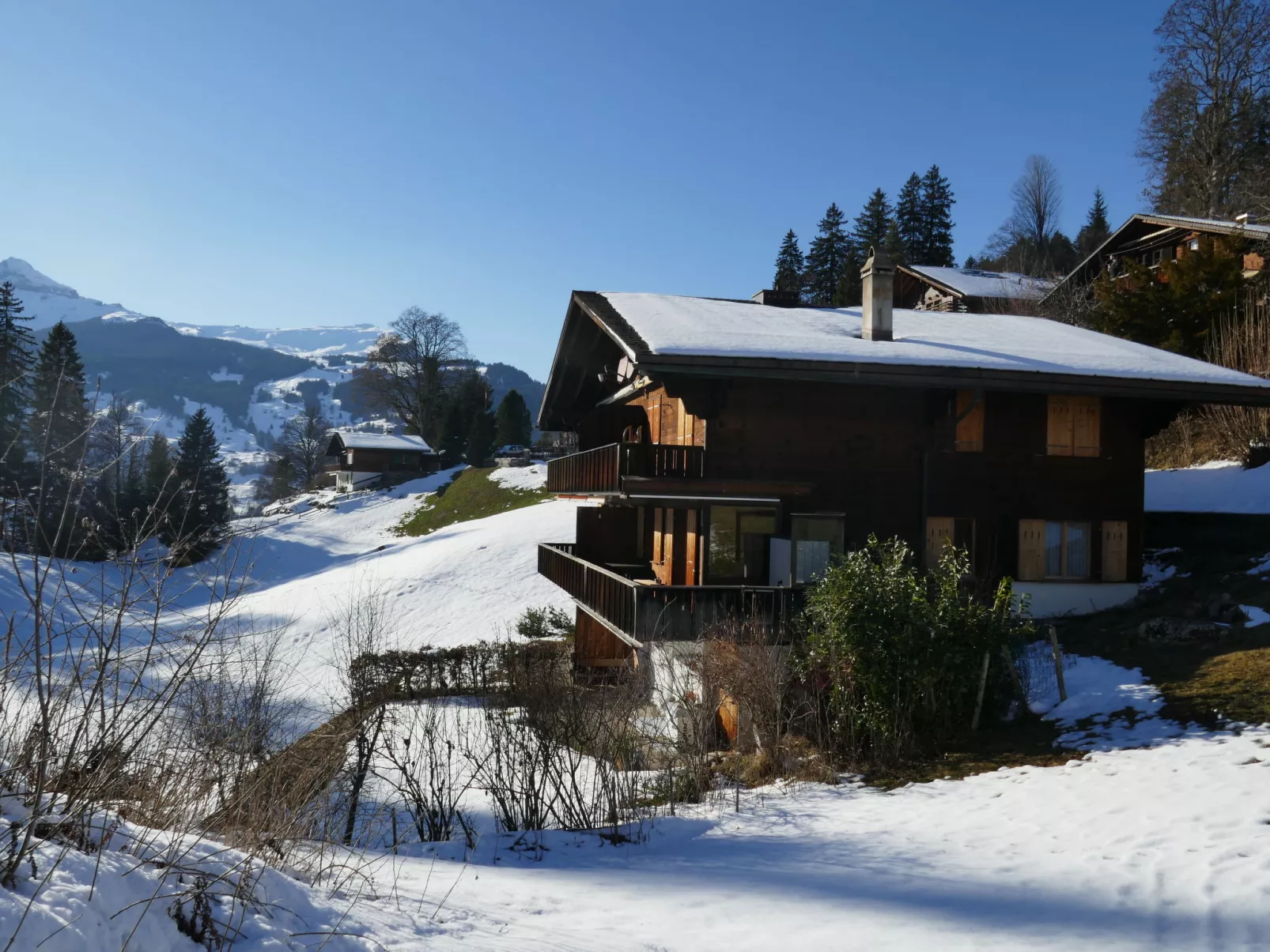 Chalet Grindelwaldgletscher-Buiten