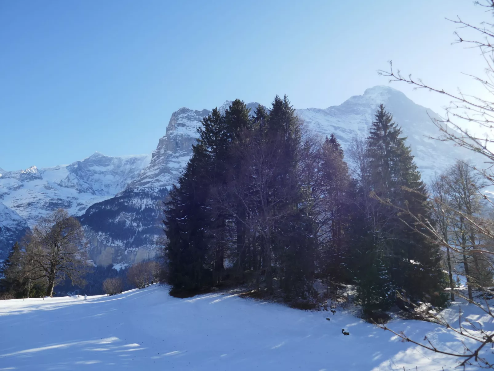 Chalet Grindelwaldgletscher-Buiten