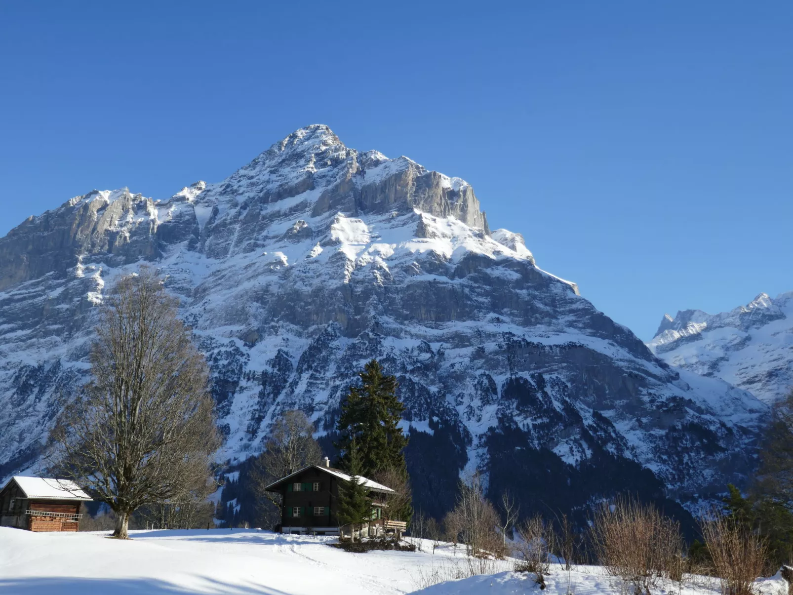 Chalet Grindelwaldgletscher-Buiten