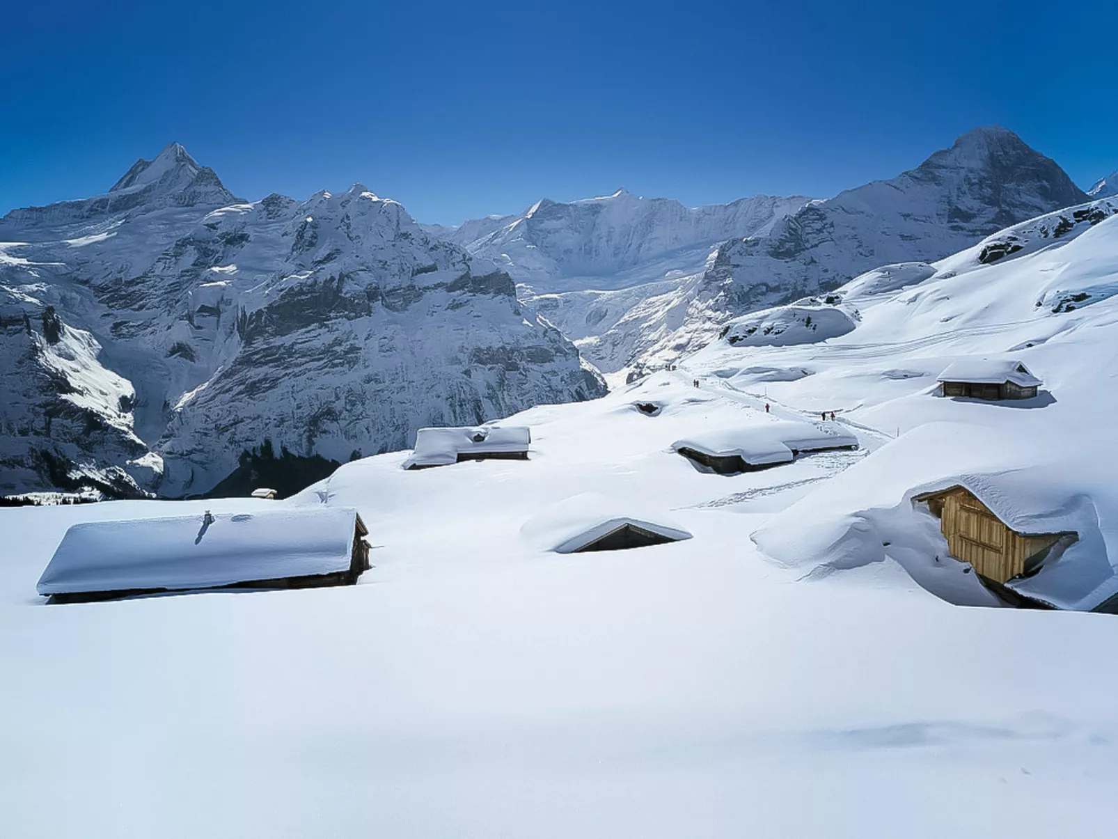 Chalet Grindelwaldgletscher-Omgeving