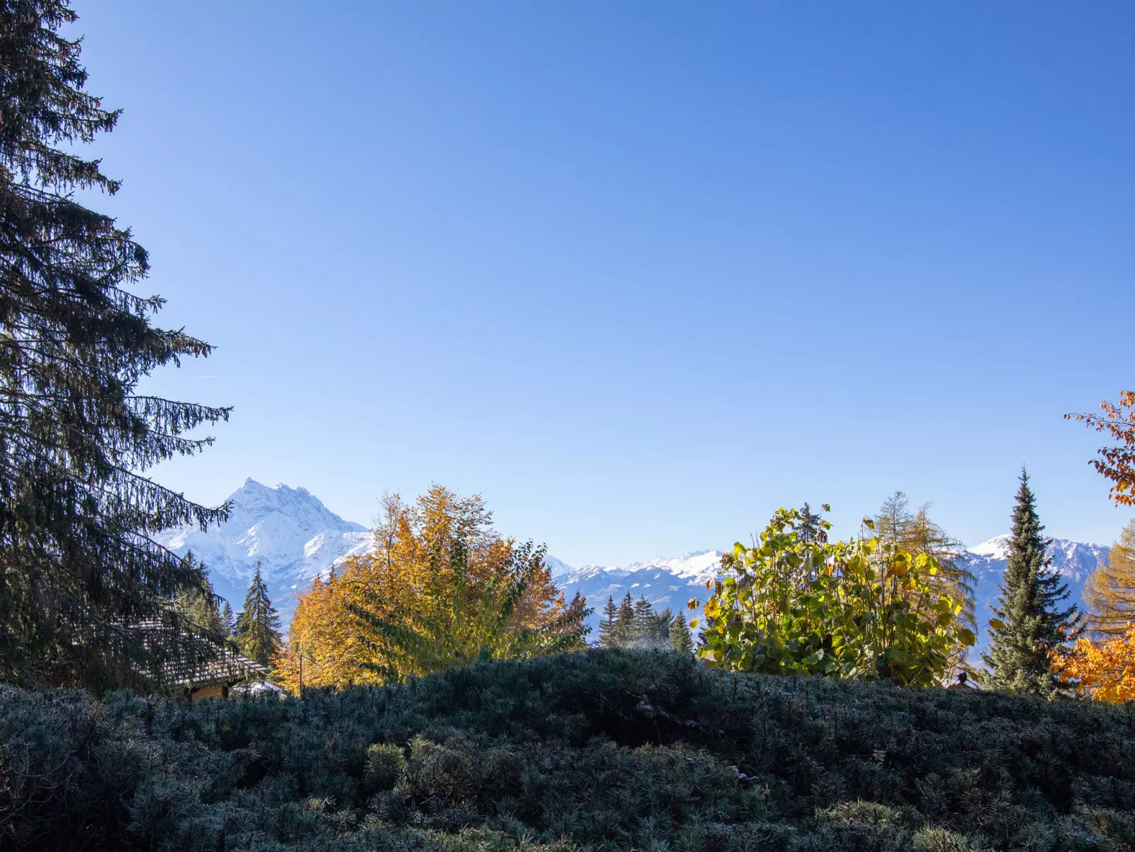 Chalet Le Haut Pré-Buiten