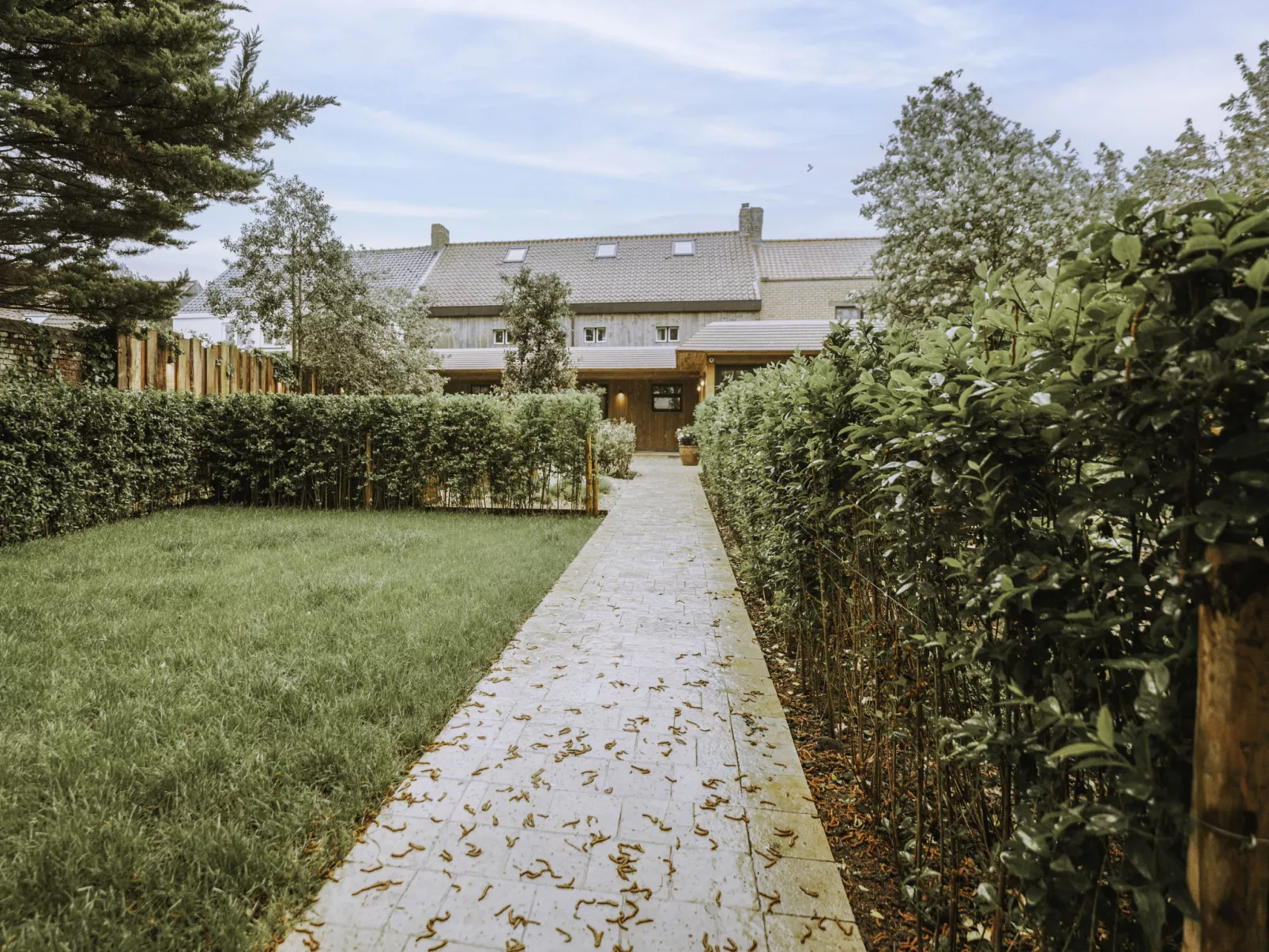 Huyze Ter Bercken with swimming pond-Buiten