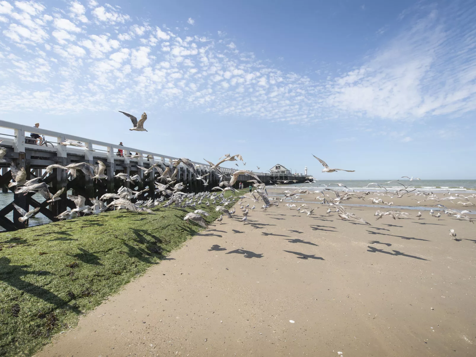 Ocean Dream with seaview-Buiten
