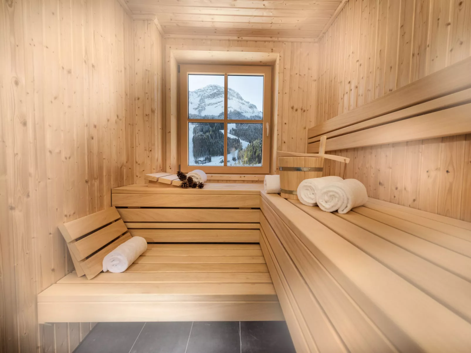Lodge Alpine Luxury-Binnen
