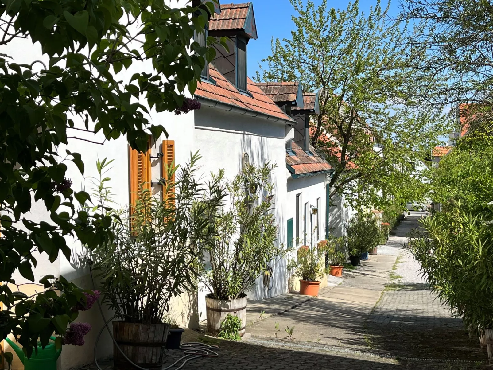 Hofgasse-Buiten