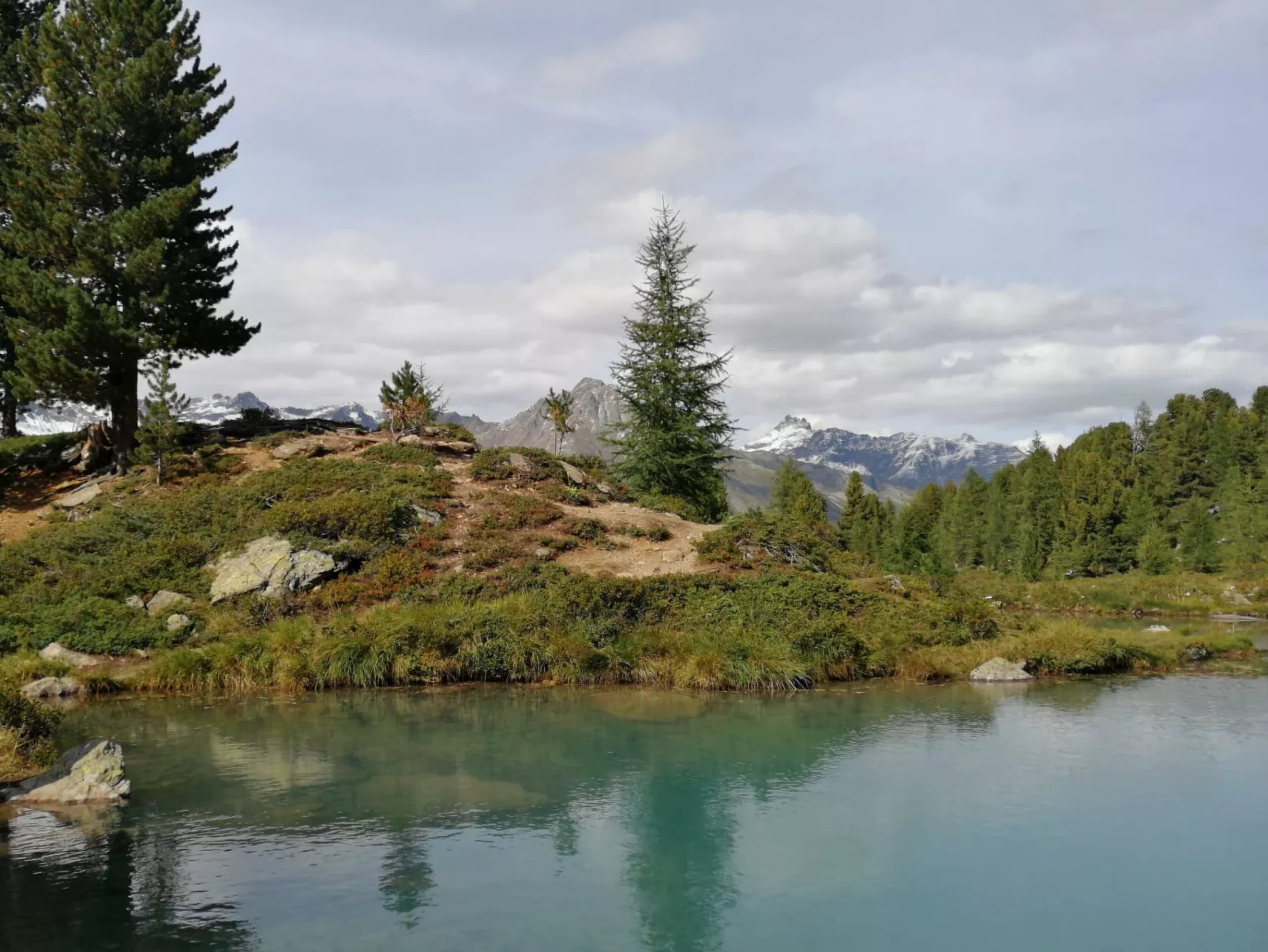 Ladner-Omgeving