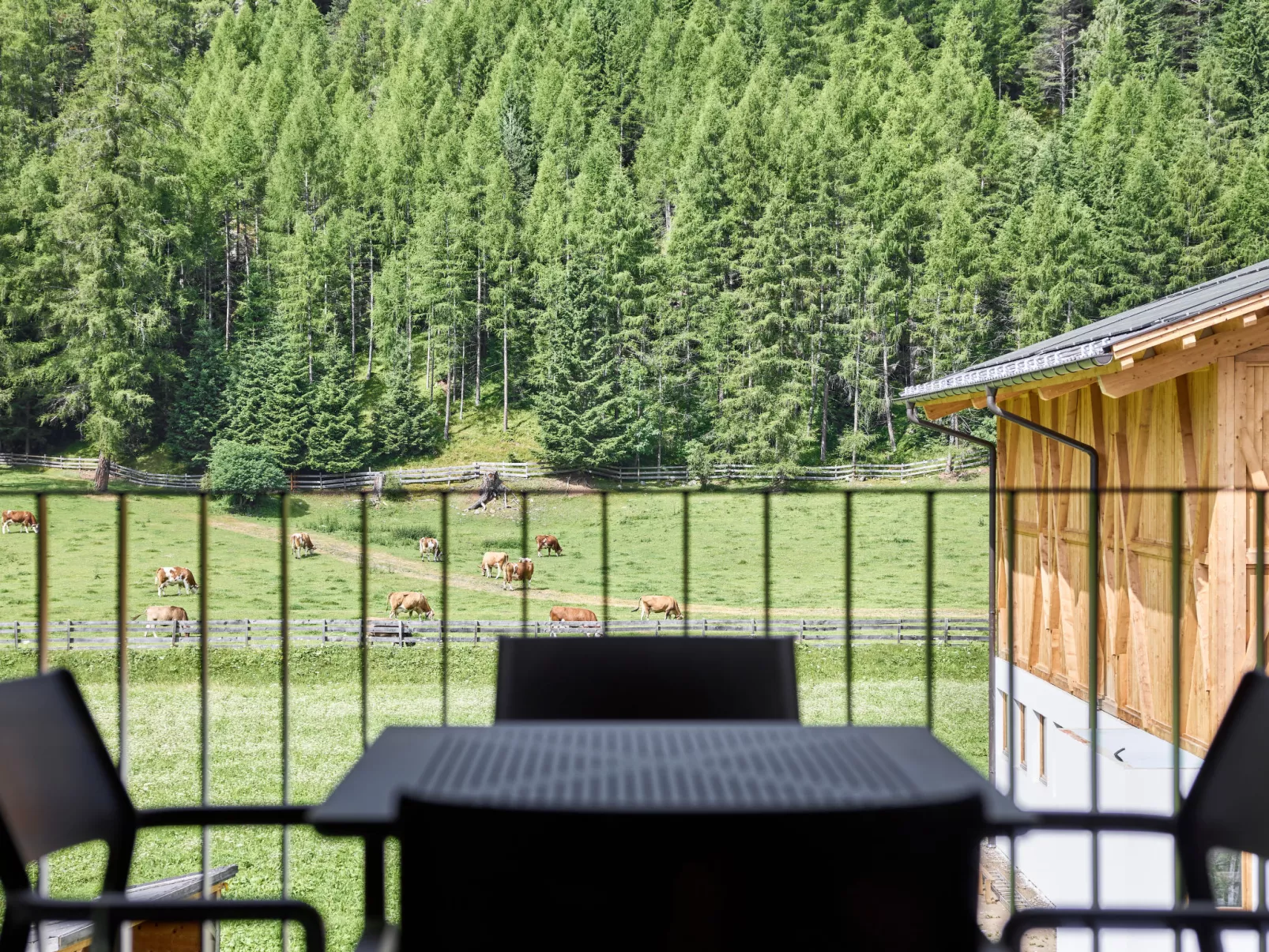 S`Groasse am Hannesnhof-Buiten