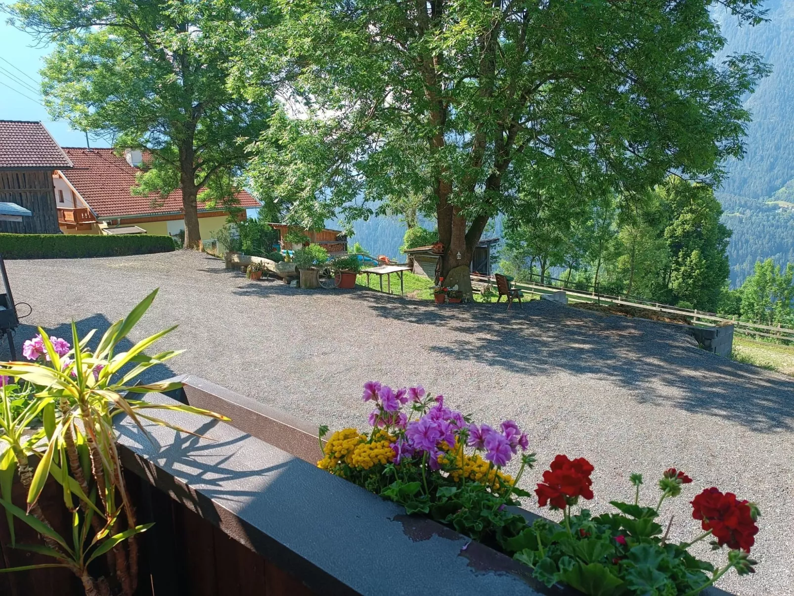 Ferienwohnung Plattner-Buiten