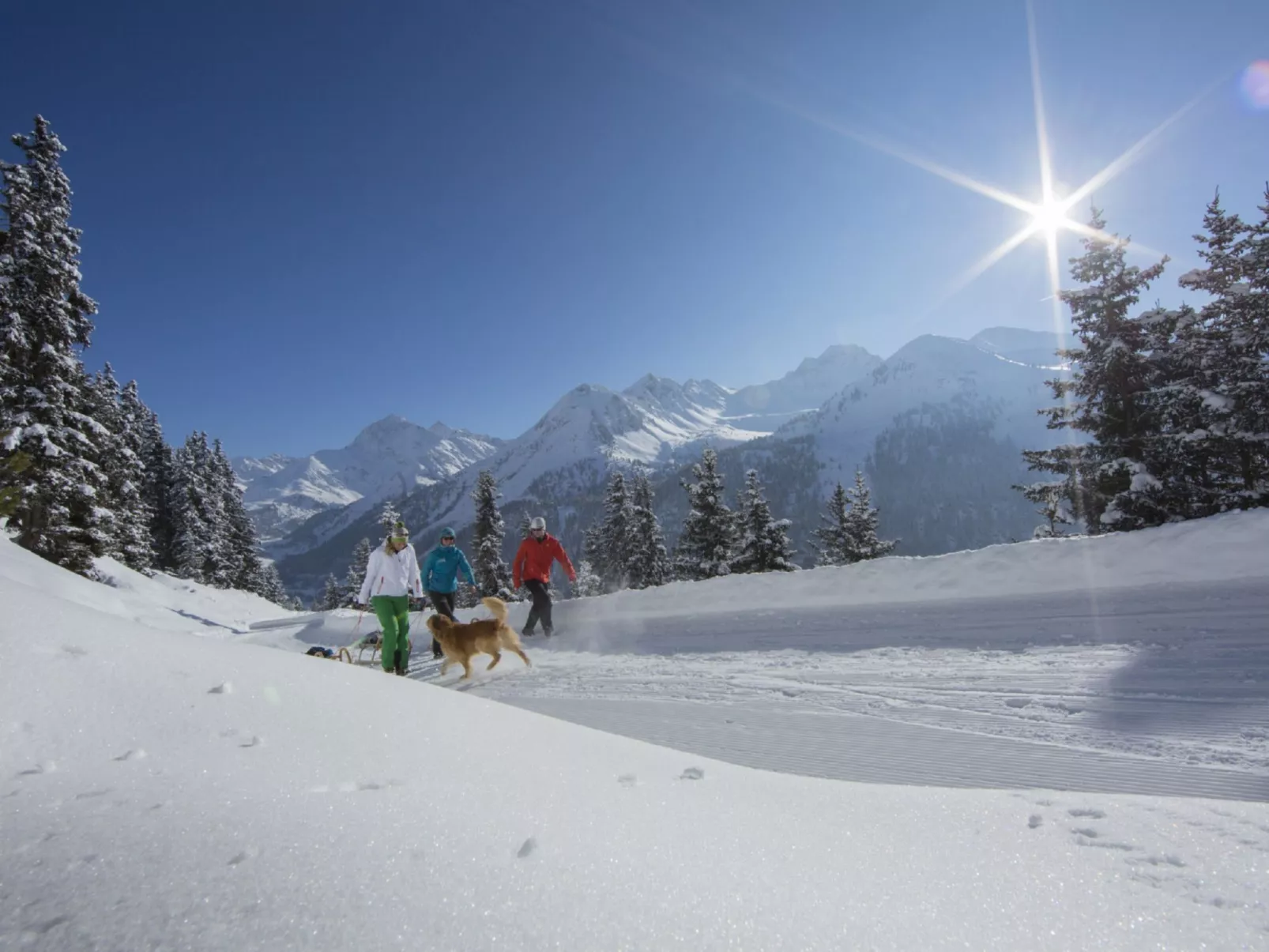 Süta Ötztal-Omgeving