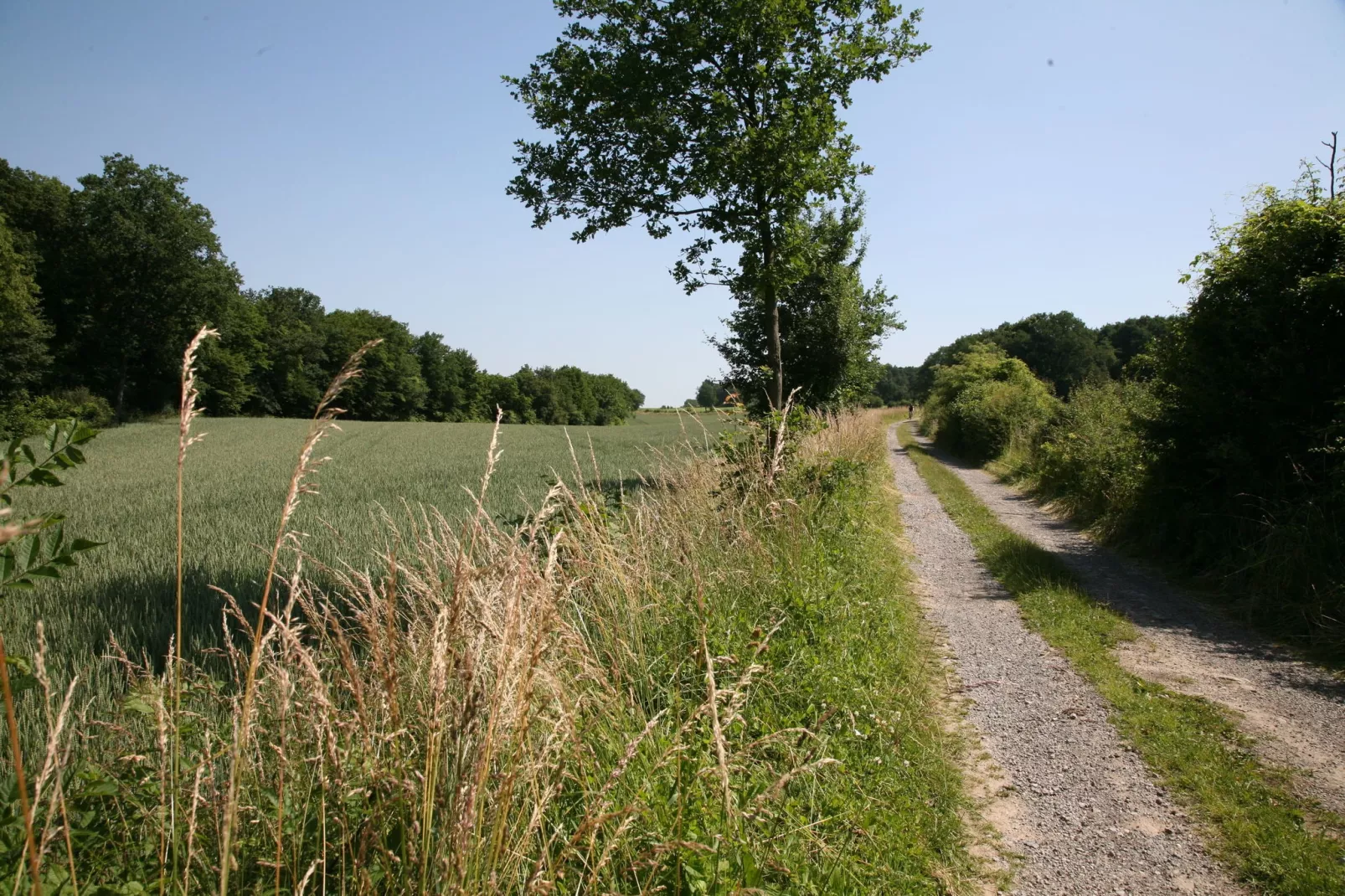 Chalet Bomal-Gebieden zomer 1km
