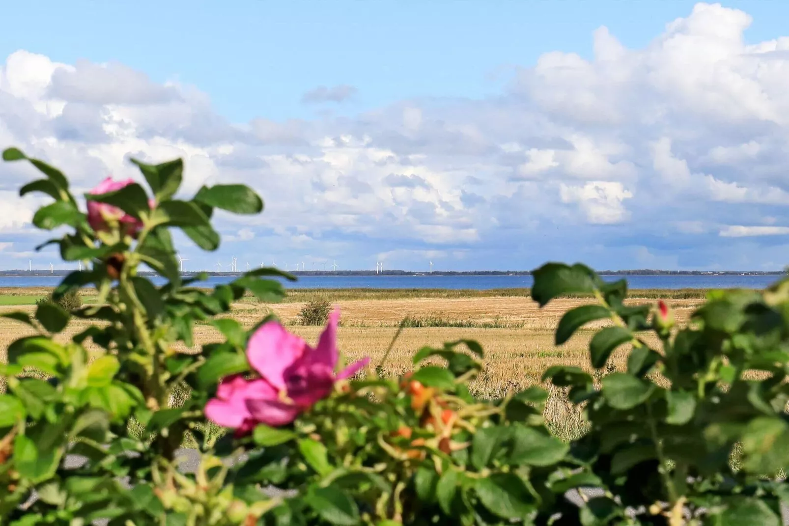 5 persoons vakantie huis in Ulfborg-Waterzicht